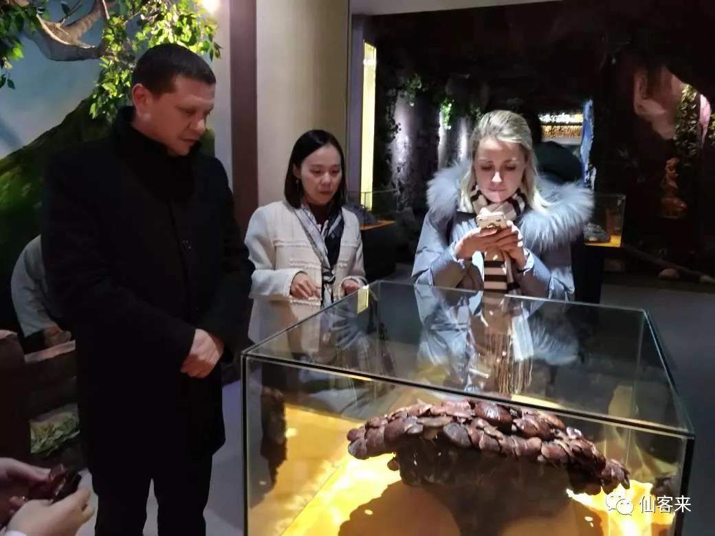 中國靈芝十大品牌|仙客來靈芝|仙客來靈芝破壁孢子粉|仙客來孢子油|仙客來靈芝飲片|仙客來破壁孢子粉|仙客來靈芝中藥飲片|馳名商標(biāo)|m.pureinfact.com| 中國靈芝十大品牌|仙客來靈芝|仙客來靈芝破壁孢子粉|仙客來孢子油|仙客來靈芝飲片|仙客來破壁孢子粉|仙客來靈芝中藥飲片|馳名商標(biāo)|m.pureinfact.com|