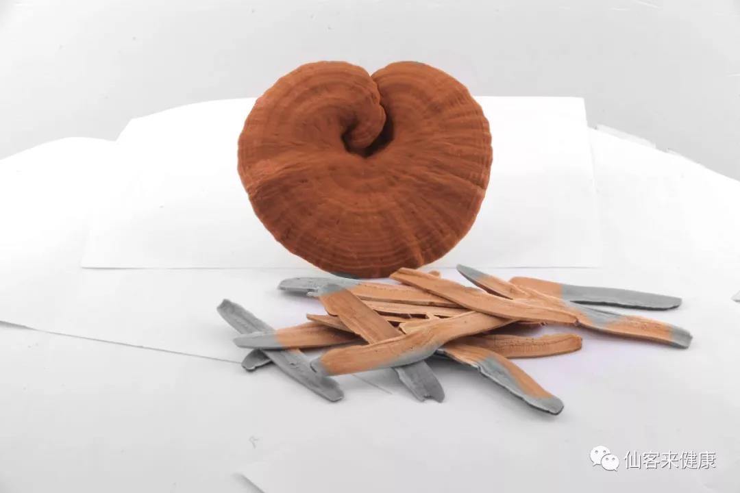 中國靈芝十大品牌|仙客來靈芝|仙客來靈芝破壁孢子粉|仙客來孢子油|仙客來靈芝飲片|仙客來破壁孢子粉|仙客來靈芝中藥飲片|馳名商標|m.pureinfact.com| 中國靈芝十大品牌|仙客來靈芝|仙客來靈芝破壁孢子粉|仙客來孢子油|仙客來靈芝飲片|仙客來破壁孢子粉|仙客來靈芝中藥飲片|馳名商標|m.pureinfact.com|