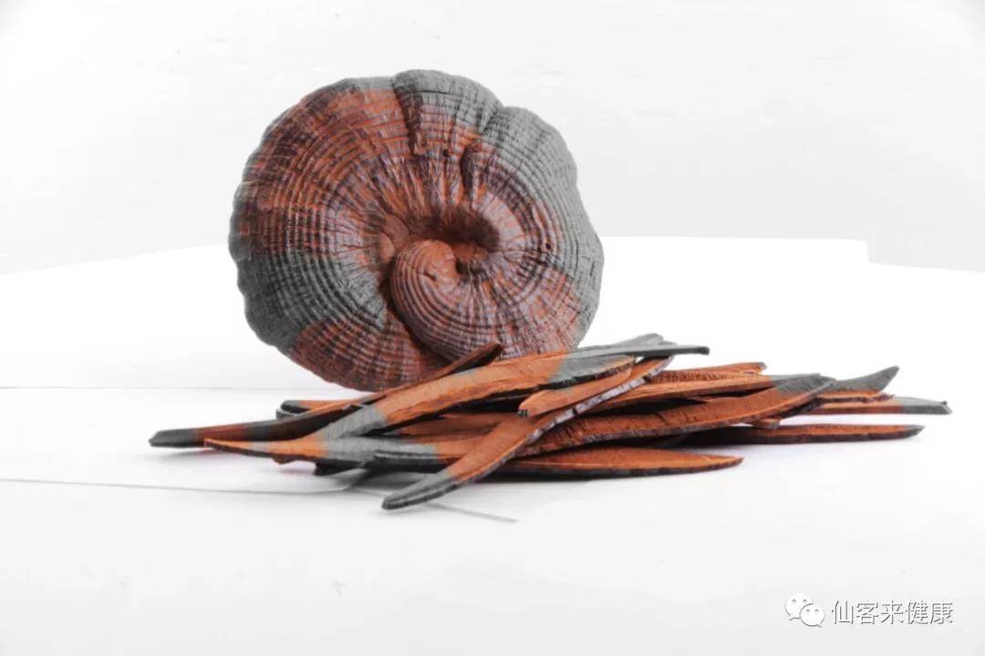 中國靈芝十大品牌|仙客來靈芝|仙客來靈芝破壁孢子粉|仙客來孢子油|仙客來靈芝飲片|仙客來破壁孢子粉|仙客來靈芝中藥飲片|馳名商標|m.pureinfact.com| 中國靈芝十大品牌|仙客來靈芝|仙客來靈芝破壁孢子粉|仙客來孢子油|仙客來靈芝飲片|仙客來破壁孢子粉|仙客來靈芝中藥飲片|馳名商標|m.pureinfact.com|