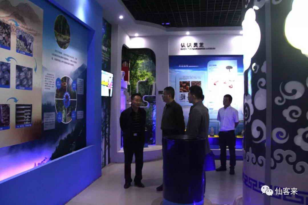 中國靈芝十大品牌|仙客來靈芝|仙客來靈芝破壁孢子粉|仙客來孢子油|仙客來靈芝飲片|仙客來破壁孢子粉|仙客來靈芝中藥飲片|馳名商標(biāo)|m.pureinfact.com| 中國靈芝十大品牌|仙客來靈芝|仙客來靈芝破壁孢子粉|仙客來孢子油|仙客來靈芝飲片|仙客來破壁孢子粉|仙客來靈芝中藥飲片|馳名商標(biāo)|m.pureinfact.com|