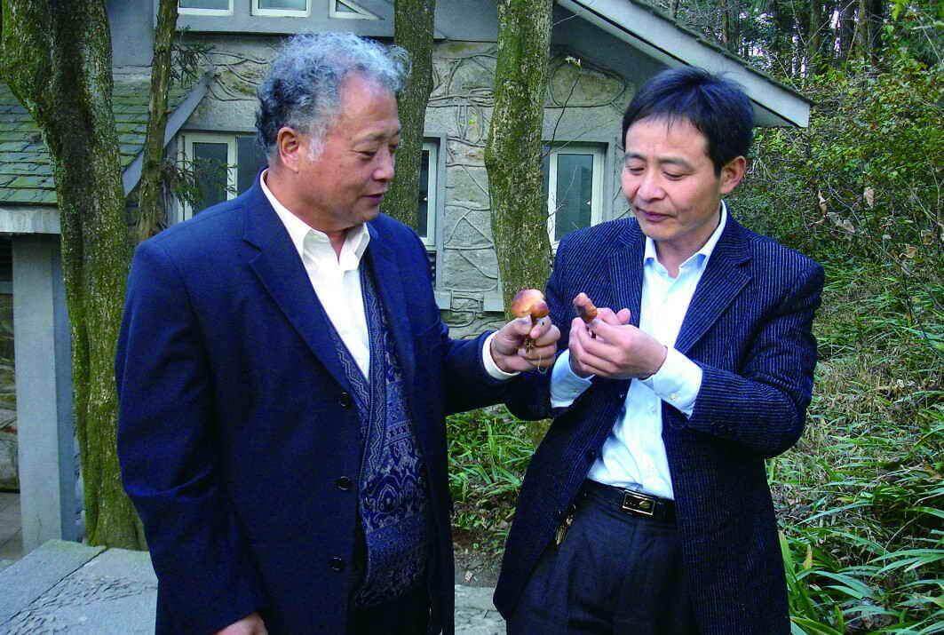 杭州亞運(yùn)會官方靈芝產(chǎn)品供應(yīng)商|杭州亞運(yùn)會官方供應(yīng)商|中國靈芝十大品牌|仙客來靈芝|仙客來靈芝破壁孢子粉|仙客來孢子油|仙客來靈芝飲片|仙客來破壁孢子粉|靈芝孢子油|孢子粉|靈芝破壁孢子粉|靈芝|中華老字號 杭州亞運(yùn)會官方靈芝產(chǎn)品供應(yīng)商|杭州亞運(yùn)會官方供應(yīng)商|中國靈芝十大品牌|仙客來靈芝|仙客來靈芝破壁孢子粉|仙客來孢子油|仙客來靈芝飲片|仙客來破壁孢子粉|靈芝孢子油|孢子粉|靈芝破壁孢子粉|靈芝|中華老字號