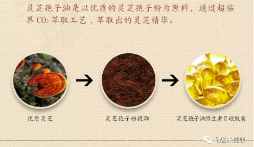 中國(guó)靈芝十大品牌|仙客來(lái)靈芝|仙客來(lái)靈芝破壁孢子粉|仙客來(lái)孢子油|仙客來(lái)靈芝飲片|仙客來(lái)破壁孢子粉|仙客來(lái)靈芝中藥飲片|馳名商標(biāo)|m.pureinfact.com|