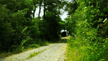 中國靈芝十大品牌|仙客來靈芝|仙客來靈芝破壁孢子粉|仙客來孢子油|仙客來靈芝飲片|仙客來破壁孢子粉|仙客來靈芝中藥飲片|馳名商標(biāo)|m.pureinfact.com| 中國靈芝十大品牌|仙客來靈芝|仙客來靈芝破壁孢子粉|仙客來孢子油|仙客來靈芝飲片|仙客來破壁孢子粉|仙客來靈芝中藥飲片|馳名商標(biāo)|m.pureinfact.com|