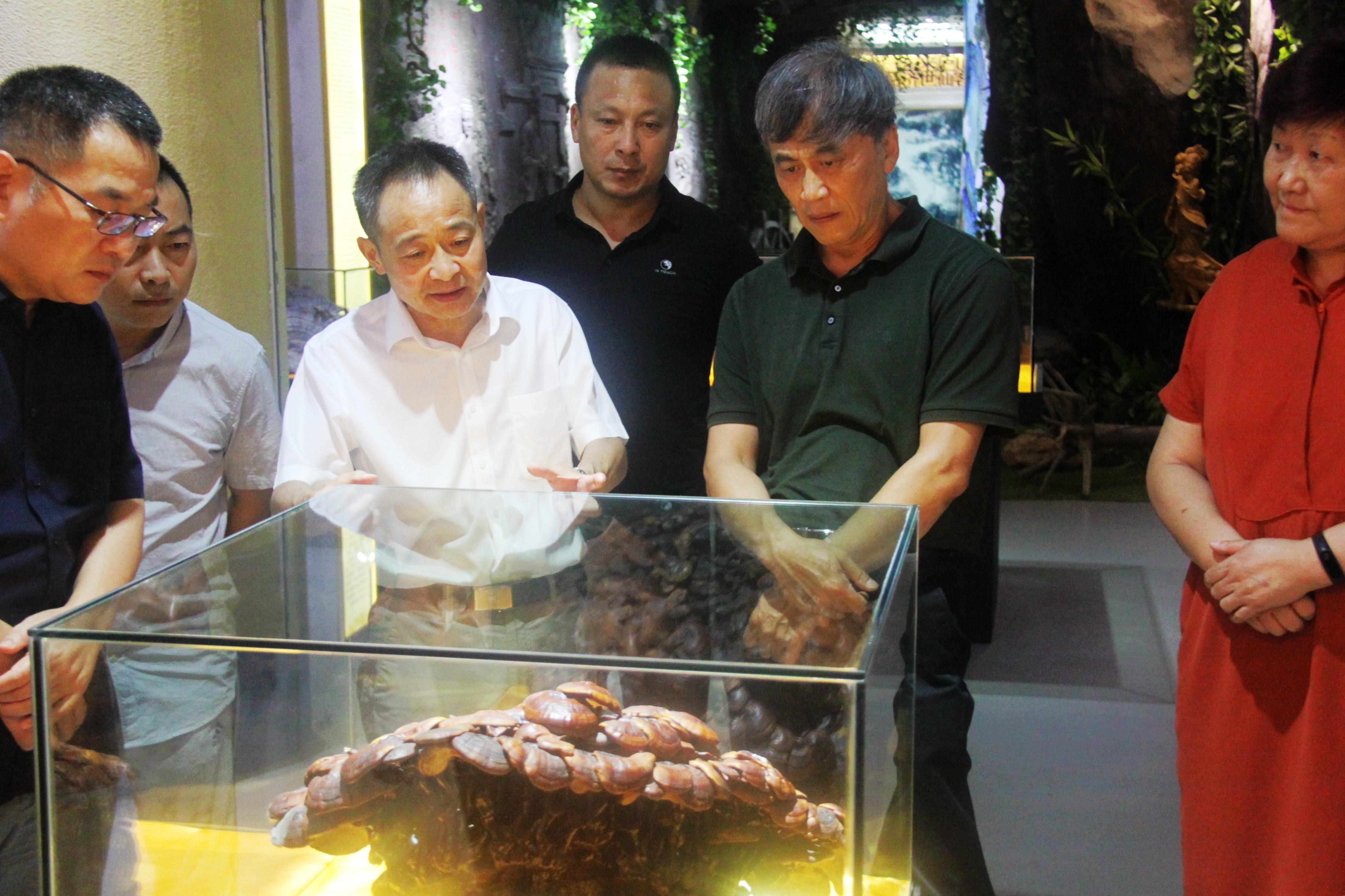 中國靈芝十大品牌|仙客來靈芝|仙客來靈芝破壁孢子粉|仙客來孢子油|仙客來靈芝飲片|仙客來破壁孢子粉|仙客來靈芝中藥飲片|馳名商標|m.pureinfact.com| 中國靈芝十大品牌|仙客來靈芝|仙客來靈芝破壁孢子粉|仙客來孢子油|仙客來靈芝飲片|仙客來破壁孢子粉|仙客來靈芝中藥飲片|馳名商標|m.pureinfact.com|