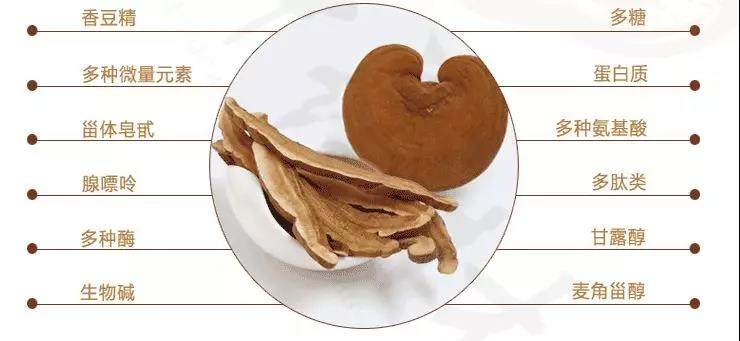 中國靈芝十大品牌|仙客來靈芝|仙客來靈芝破壁孢子粉|仙客來孢子油|仙客來靈芝飲片|仙客來破壁孢子粉|仙客來靈芝中藥飲片|馳名商標|m.pureinfact.com| 中國靈芝十大品牌|仙客來靈芝|仙客來靈芝破壁孢子粉|仙客來孢子油|仙客來靈芝飲片|仙客來破壁孢子粉|仙客來靈芝中藥飲片|馳名商標|m.pureinfact.com|