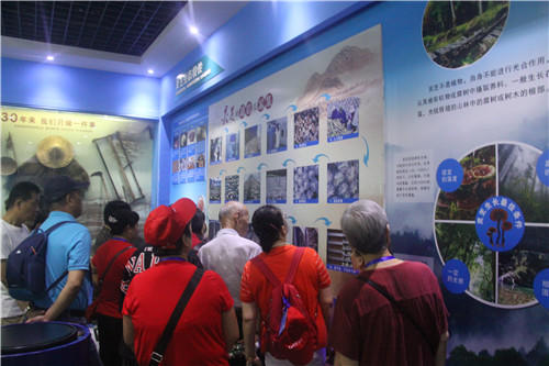 1568098055348243.jpg 杭州亞運(yùn)會(huì)官方靈芝產(chǎn)品供應(yīng)商|杭州亞運(yùn)會(huì)官方供應(yīng)商|中國(guó)靈芝十大品牌|仙客來(lái)靈芝|仙客來(lái)靈芝破壁孢子粉|仙客來(lái)孢子油|仙客來(lái)靈芝飲片|仙客來(lái)破壁孢子粉|靈芝孢子油|孢子粉|靈芝破壁孢子粉|靈芝|中華老字號(hào)