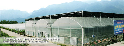 中國靈芝十大品牌|仙客來靈芝|仙客來靈芝破壁孢子粉|仙客來孢子油|仙客來靈芝飲片|仙客來破壁孢子粉|仙客來靈芝中藥飲片|馳名商標(biāo)|m.pureinfact.com|