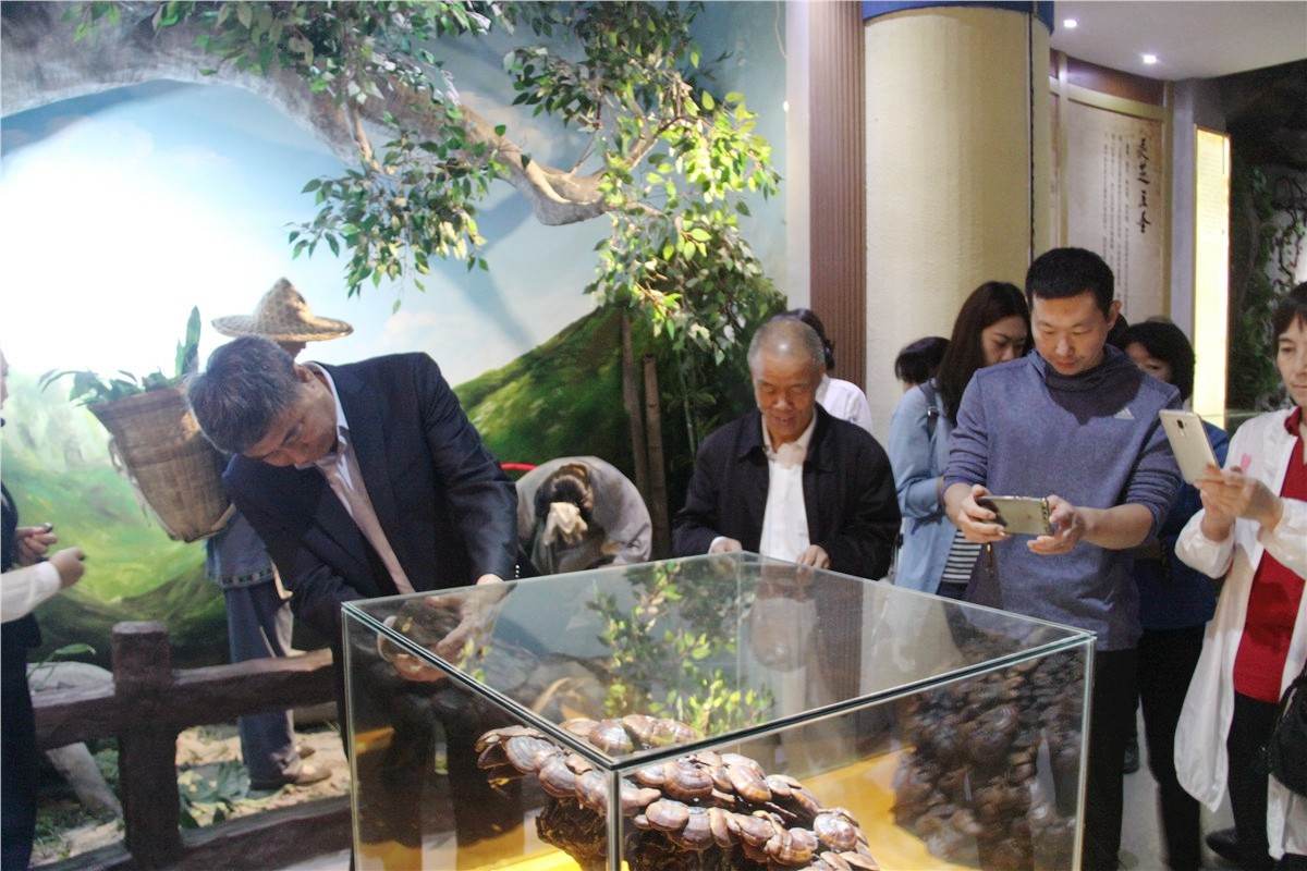 中國靈芝十大品牌|仙客來靈芝|仙客來靈芝破壁孢子粉|仙客來孢子油|仙客來靈芝飲片|仙客來破壁孢子粉|仙客來靈芝中藥飲片|馳名商標(biāo)|m.pureinfact.com| 中國靈芝十大品牌|仙客來靈芝|仙客來靈芝破壁孢子粉|仙客來孢子油|仙客來靈芝飲片|仙客來破壁孢子粉|仙客來靈芝中藥飲片|馳名商標(biāo)|m.pureinfact.com|