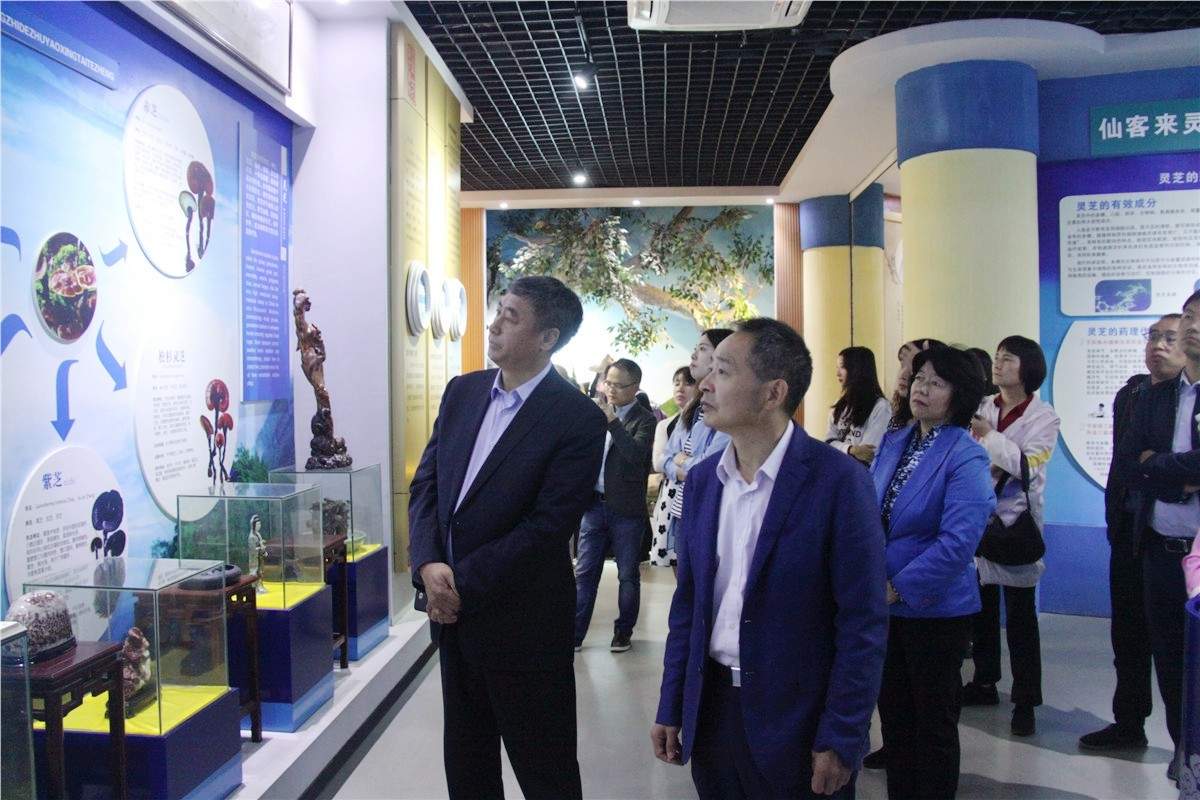 中國靈芝十大品牌|仙客來靈芝|仙客來靈芝破壁孢子粉|仙客來孢子油|仙客來靈芝飲片|仙客來破壁孢子粉|仙客來靈芝中藥飲片|馳名商標(biāo)|m.pureinfact.com| 中國靈芝十大品牌|仙客來靈芝|仙客來靈芝破壁孢子粉|仙客來孢子油|仙客來靈芝飲片|仙客來破壁孢子粉|仙客來靈芝中藥飲片|馳名商標(biāo)|m.pureinfact.com|