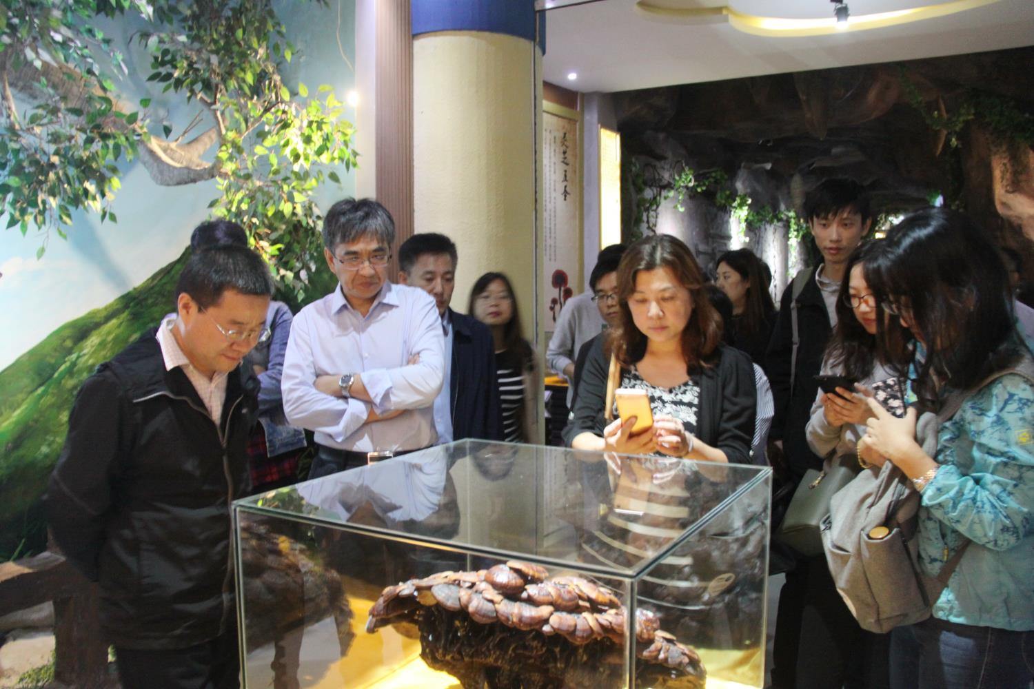 中國靈芝十大品牌|仙客來靈芝|仙客來靈芝破壁孢子粉|仙客來孢子油|仙客來靈芝飲片|仙客來破壁孢子粉|仙客來靈芝中藥飲片|馳名商標|m.pureinfact.com|