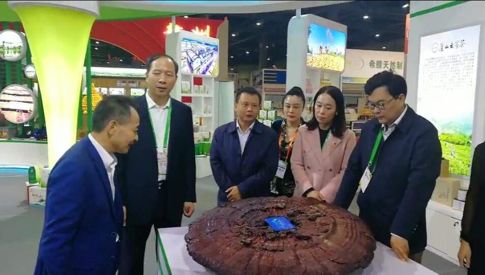 中國(guó)靈芝十大品牌|仙客來(lái)靈芝|仙客來(lái)靈芝破壁孢子粉|仙客來(lái)孢子油|仙客來(lái)靈芝飲片|仙客來(lái)破壁孢子粉|仙客來(lái)靈芝中藥飲片|馳名商標(biāo)|m.pureinfact.com|