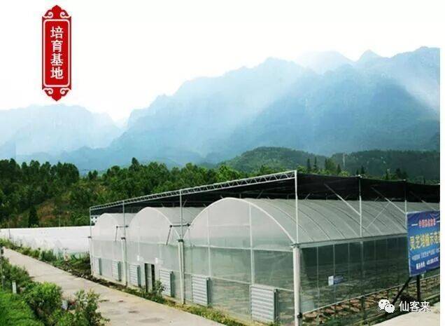 1584667742222369.jpg ec11840f5882dcf2f32e41b7a719398e-sz_42241.jpg