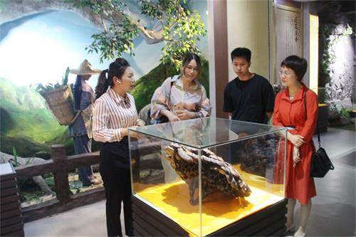 1590115265349354.jpg IMG_5247_.jpg