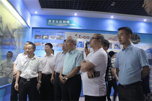 杭州亞運(yùn)會官方靈芝產(chǎn)品供應(yīng)商|杭州亞運(yùn)會官方供應(yīng)商|中國靈芝十大品牌|仙客來靈芝|仙客來靈芝破壁孢子粉|仙客來孢子油|仙客來靈芝飲片|仙客來破壁孢子粉|靈芝孢子油|孢子粉|靈芝破壁孢子粉|靈芝|中華老字號 杭州亞運(yùn)會官方靈芝產(chǎn)品供應(yīng)商|杭州亞運(yùn)會官方供應(yīng)商|中國靈芝十大品牌|仙客來靈芝|仙客來靈芝破壁孢子粉|仙客來孢子油|仙客來靈芝飲片|仙客來破壁孢子粉|靈芝孢子油|孢子粉|靈芝破壁孢子粉|靈芝|中華老字號