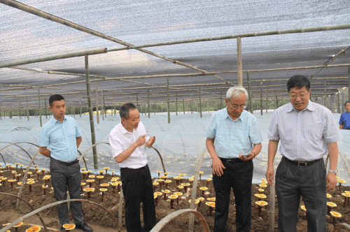 杭州亞運(yùn)會官方靈芝產(chǎn)品供應(yīng)商|杭州亞運(yùn)會官方供應(yīng)商|中國靈芝十大品牌|仙客來靈芝|仙客來靈芝破壁孢子粉|仙客來孢子油|仙客來靈芝飲片|仙客來破壁孢子粉|靈芝孢子油|孢子粉|靈芝破壁孢子粉|靈芝|中華老字號 杭州亞運(yùn)會官方靈芝產(chǎn)品供應(yīng)商|杭州亞運(yùn)會官方供應(yīng)商|中國靈芝十大品牌|仙客來靈芝|仙客來靈芝破壁孢子粉|仙客來孢子油|仙客來靈芝飲片|仙客來破壁孢子粉|靈芝孢子油|孢子粉|靈芝破壁孢子粉|靈芝|中華老字號