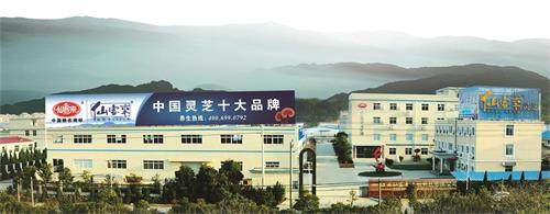 1592984690861981.jpg 仙客來(lái)牌圖.jpg