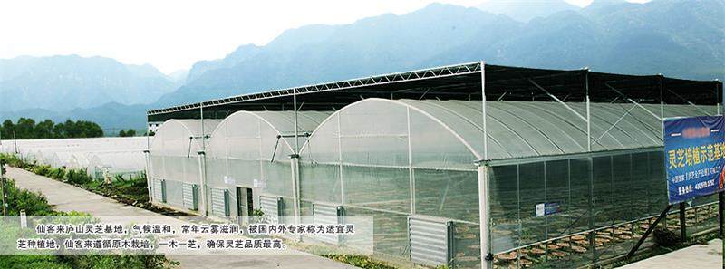 1594200311850689.jpg 153079202677715.jpg