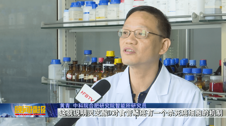 杭州亞運(yùn)會官方靈芝產(chǎn)品供應(yīng)商|杭州亞運(yùn)會官方供應(yīng)商|中國靈芝十大品牌|仙客來靈芝|仙客來靈芝破壁孢子粉|仙客來孢子油|仙客來靈芝飲片|仙客來破壁孢子粉|靈芝孢子油|孢子粉|靈芝破壁孢子粉|靈芝|中華老字號 杭州亞運(yùn)會官方靈芝產(chǎn)品供應(yīng)商|杭州亞運(yùn)會官方供應(yīng)商|中國靈芝十大品牌|仙客來靈芝|仙客來靈芝破壁孢子粉|仙客來孢子油|仙客來靈芝飲片|仙客來破壁孢子粉|靈芝孢子油|孢子粉|靈芝破壁孢子粉|靈芝|中華老字號