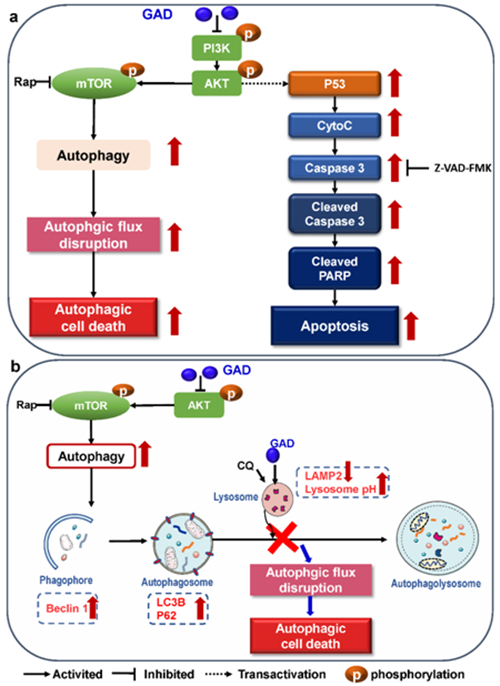 杭州亞運(yùn)會官方靈芝產(chǎn)品供應(yīng)商|杭州亞運(yùn)會官方供應(yīng)商|中國靈芝十大品牌|仙客來靈芝|仙客來靈芝破壁孢子粉|仙客來孢子油|仙客來靈芝飲片|仙客來破壁孢子粉|靈芝孢子油|孢子粉|靈芝破壁孢子粉|靈芝|中華老字號 杭州亞運(yùn)會官方靈芝產(chǎn)品供應(yīng)商|杭州亞運(yùn)會官方供應(yīng)商|中國靈芝十大品牌|仙客來靈芝|仙客來靈芝破壁孢子粉|仙客來孢子油|仙客來靈芝飲片|仙客來破壁孢子粉|靈芝孢子油|孢子粉|靈芝破壁孢子粉|靈芝|中華老字號