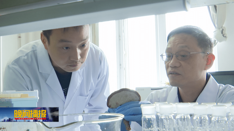 杭州亞運(yùn)會官方靈芝產(chǎn)品供應(yīng)商|杭州亞運(yùn)會官方供應(yīng)商|中國靈芝十大品牌|仙客來靈芝|仙客來靈芝破壁孢子粉|仙客來孢子油|仙客來靈芝飲片|仙客來破壁孢子粉|靈芝孢子油|孢子粉|靈芝破壁孢子粉|靈芝|中華老字號 杭州亞運(yùn)會官方靈芝產(chǎn)品供應(yīng)商|杭州亞運(yùn)會官方供應(yīng)商|中國靈芝十大品牌|仙客來靈芝|仙客來靈芝破壁孢子粉|仙客來孢子油|仙客來靈芝飲片|仙客來破壁孢子粉|靈芝孢子油|孢子粉|靈芝破壁孢子粉|靈芝|中華老字號