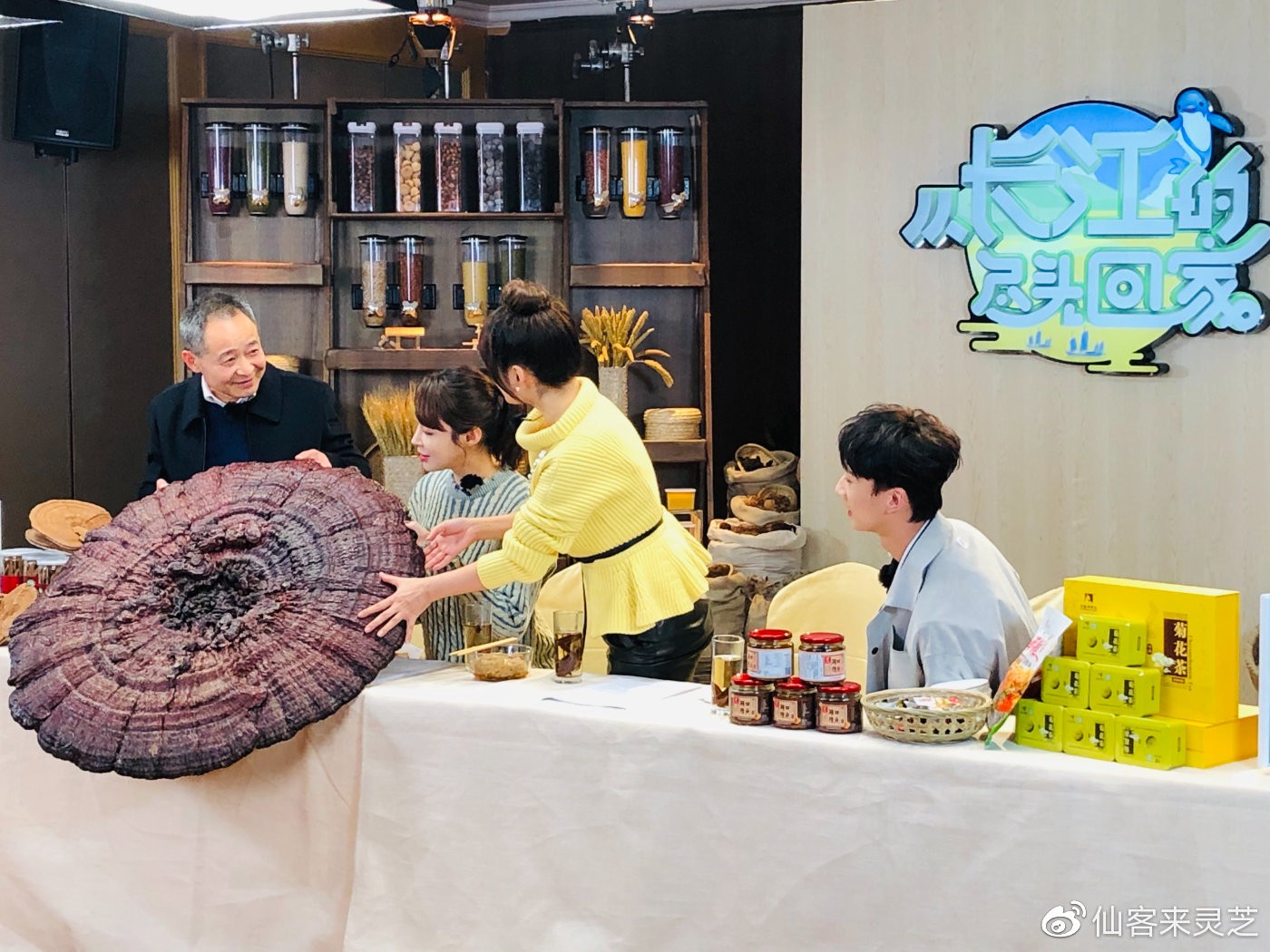 杭州亞運(yùn)會(huì)官方靈芝產(chǎn)品供應(yīng)商|杭州亞運(yùn)會(huì)官方供應(yīng)商|中國(guó)靈芝十大品牌|仙客來靈芝|仙客來靈芝破壁孢子粉|仙客來孢子油|仙客來靈芝飲片|仙客來破壁孢子粉|靈芝孢子油|孢子粉|靈芝破壁孢子粉|靈芝|中華老字號(hào) 杭州亞運(yùn)會(huì)官方靈芝產(chǎn)品供應(yīng)商|杭州亞運(yùn)會(huì)官方供應(yīng)商|中國(guó)靈芝十大品牌|仙客來靈芝|仙客來靈芝破壁孢子粉|仙客來孢子油|仙客來靈芝飲片|仙客來破壁孢子粉|靈芝孢子油|孢子粉|靈芝破壁孢子粉|靈芝|中華老字號(hào)