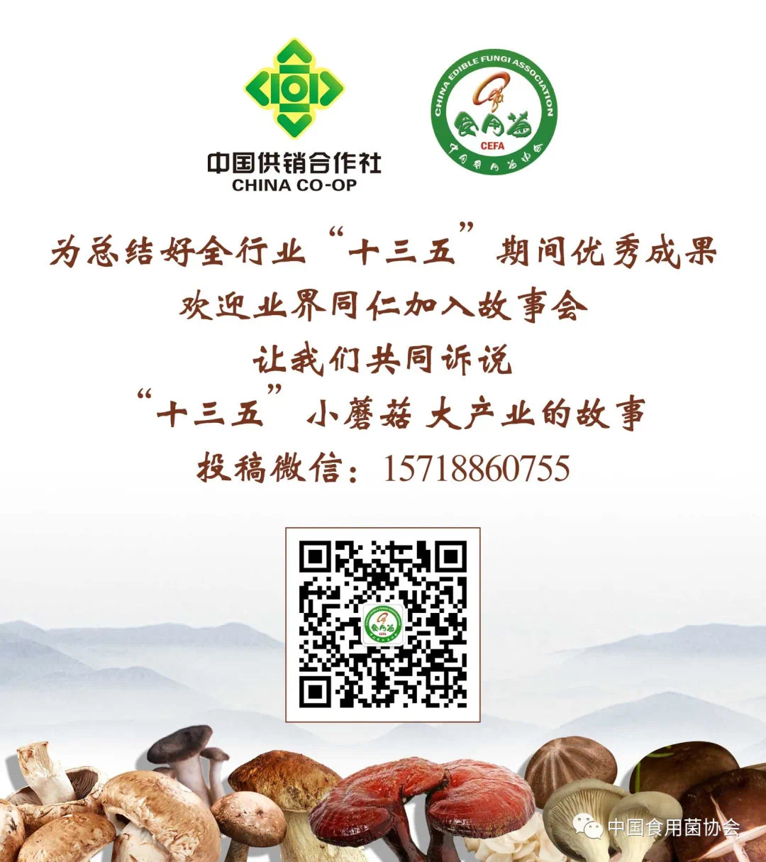 杭州亞運(yùn)會(huì)官方靈芝產(chǎn)品供應(yīng)商|杭州亞運(yùn)會(huì)官方供應(yīng)商|中國(guó)靈芝十大品牌|仙客來靈芝|仙客來靈芝破壁孢子粉|仙客來孢子油|仙客來靈芝飲片|仙客來破壁孢子粉|靈芝孢子油|孢子粉|靈芝破壁孢子粉|靈芝|中華老字號(hào) 杭州亞運(yùn)會(huì)官方靈芝產(chǎn)品供應(yīng)商|杭州亞運(yùn)會(huì)官方供應(yīng)商|中國(guó)靈芝十大品牌|仙客來靈芝|仙客來靈芝破壁孢子粉|仙客來孢子油|仙客來靈芝飲片|仙客來破壁孢子粉|靈芝孢子油|孢子粉|靈芝破壁孢子粉|靈芝|中華老字號(hào)