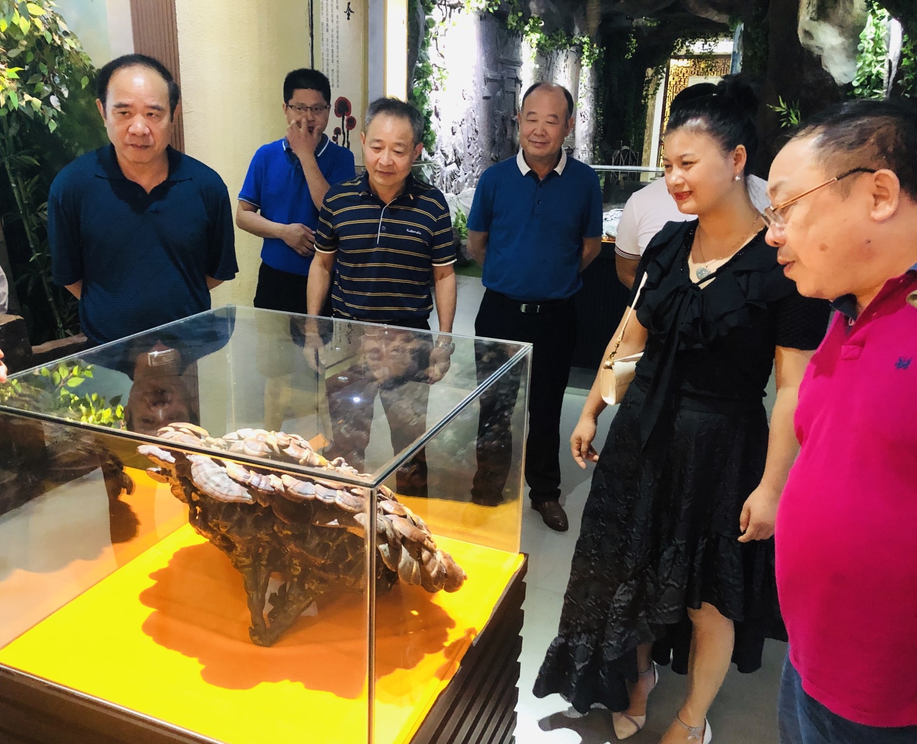 杭州亞運(yùn)會(huì)官方靈芝產(chǎn)品供應(yīng)商|杭州亞運(yùn)會(huì)官方供應(yīng)商|中國(guó)靈芝十大品牌|仙客來(lái)靈芝|仙客來(lái)靈芝破壁孢子粉|仙客來(lái)孢子油|仙客來(lái)靈芝飲片|仙客來(lái)破壁孢子粉|靈芝孢子油|孢子粉|靈芝破壁孢子粉|靈芝|中華老字號(hào) 杭州亞運(yùn)會(huì)官方靈芝產(chǎn)品供應(yīng)商|杭州亞運(yùn)會(huì)官方供應(yīng)商|中國(guó)靈芝十大品牌|仙客來(lái)靈芝|仙客來(lái)靈芝破壁孢子粉|仙客來(lái)孢子油|仙客來(lái)靈芝飲片|仙客來(lái)破壁孢子粉|靈芝孢子油|孢子粉|靈芝破壁孢子粉|靈芝|中華老字號(hào)