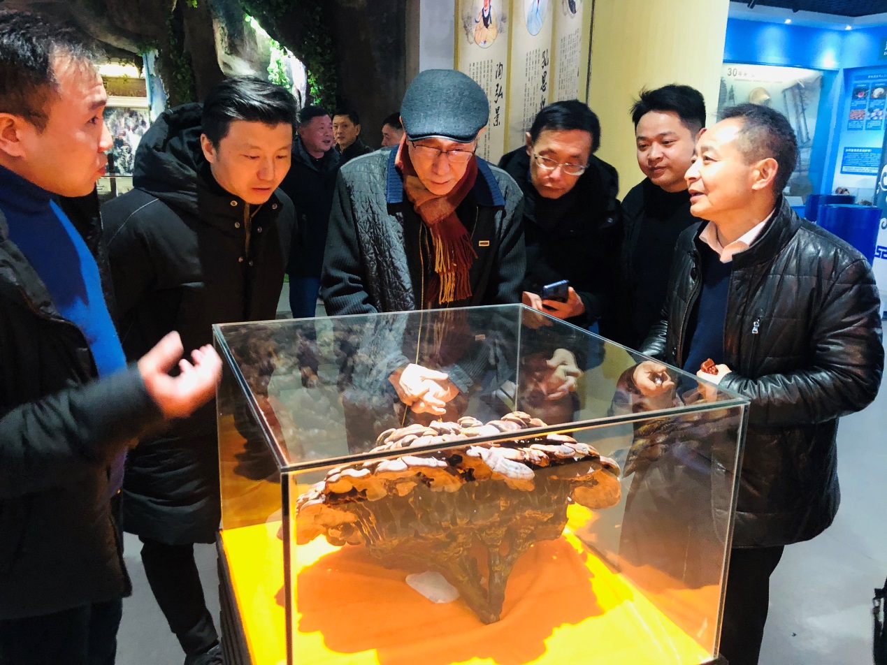 杭州亞運(yùn)會(huì)官方靈芝產(chǎn)品供應(yīng)商|杭州亞運(yùn)會(huì)官方供應(yīng)商|中國(guó)靈芝十大品牌|仙客來靈芝|仙客來靈芝破壁孢子粉|仙客來孢子油|仙客來靈芝飲片|仙客來破壁孢子粉|靈芝孢子油|孢子粉|靈芝破壁孢子粉|靈芝|中華老字號(hào)