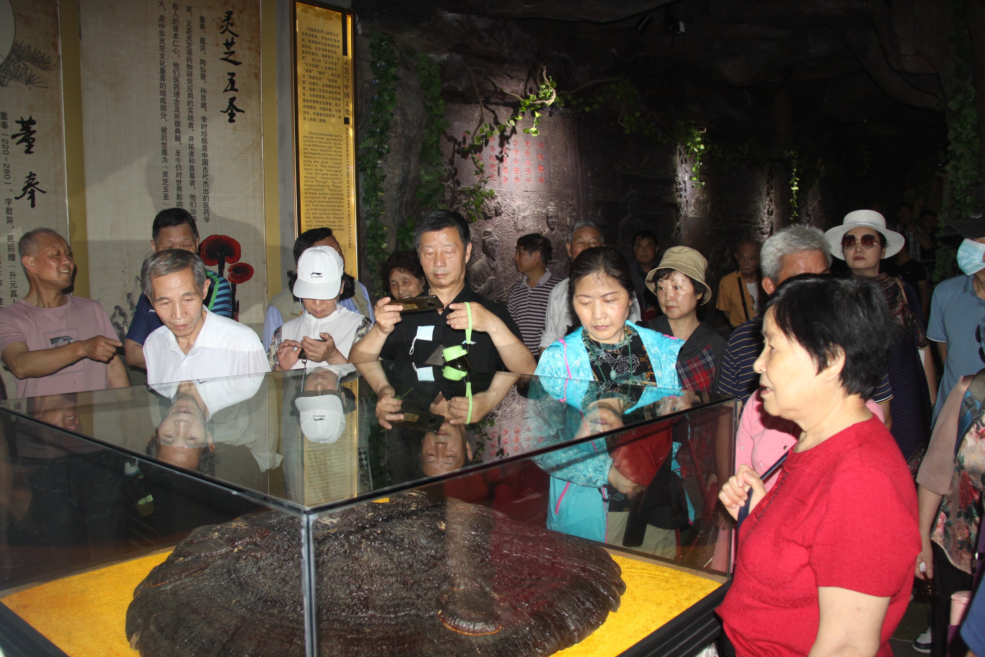 杭州亞運(yùn)會(huì)官方靈芝產(chǎn)品供應(yīng)商|杭州亞運(yùn)會(huì)官方供應(yīng)商|中國(guó)靈芝十大品牌|仙客來靈芝|仙客來靈芝破壁孢子粉|仙客來孢子油|仙客來靈芝飲片|仙客來破壁孢子粉|靈芝孢子油|孢子粉|靈芝破壁孢子粉|靈芝|中華老字號(hào) 杭州亞運(yùn)會(huì)官方靈芝產(chǎn)品供應(yīng)商|杭州亞運(yùn)會(huì)官方供應(yīng)商|中國(guó)靈芝十大品牌|仙客來靈芝|仙客來靈芝破壁孢子粉|仙客來孢子油|仙客來靈芝飲片|仙客來破壁孢子粉|靈芝孢子油|孢子粉|靈芝破壁孢子粉|靈芝|中華老字號(hào)