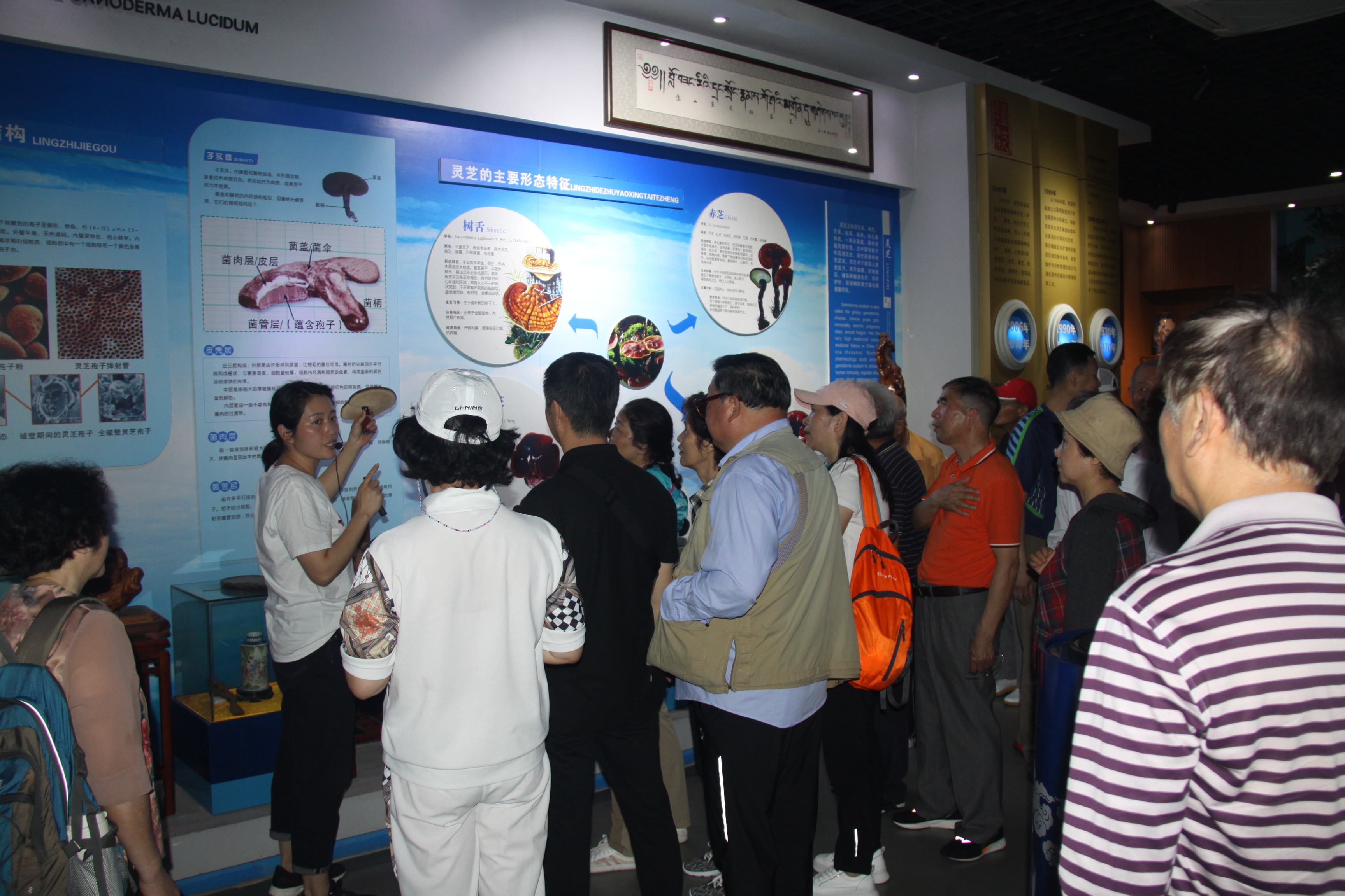 杭州亞運(yùn)會(huì)官方靈芝產(chǎn)品供應(yīng)商|杭州亞運(yùn)會(huì)官方供應(yīng)商|中國(guó)靈芝十大品牌|仙客來靈芝|仙客來靈芝破壁孢子粉|仙客來孢子油|仙客來靈芝飲片|仙客來破壁孢子粉|靈芝孢子油|孢子粉|靈芝破壁孢子粉|靈芝|中華老字號(hào) 杭州亞運(yùn)會(huì)官方靈芝產(chǎn)品供應(yīng)商|杭州亞運(yùn)會(huì)官方供應(yīng)商|中國(guó)靈芝十大品牌|仙客來靈芝|仙客來靈芝破壁孢子粉|仙客來孢子油|仙客來靈芝飲片|仙客來破壁孢子粉|靈芝孢子油|孢子粉|靈芝破壁孢子粉|靈芝|中華老字號(hào)