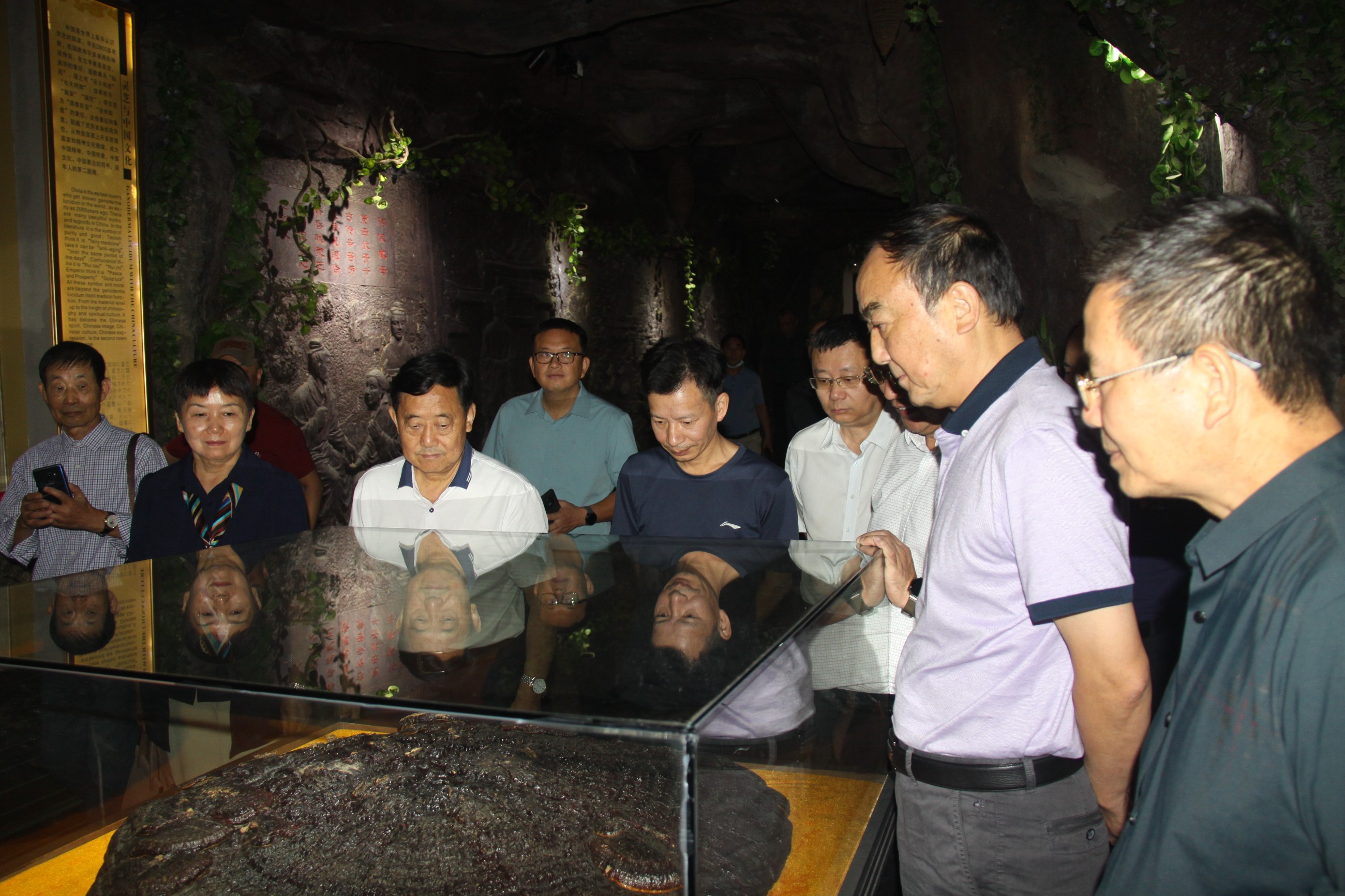 杭州亞運會官方靈芝產(chǎn)品供應(yīng)商|杭州亞運會官方供應(yīng)商|中國靈芝十大品牌|仙客來靈芝|仙客來靈芝破壁孢子粉|仙客來孢子油|仙客來靈芝飲片|仙客來破壁孢子粉|靈芝孢子油|孢子粉|靈芝破壁孢子粉|靈芝|中華老字號