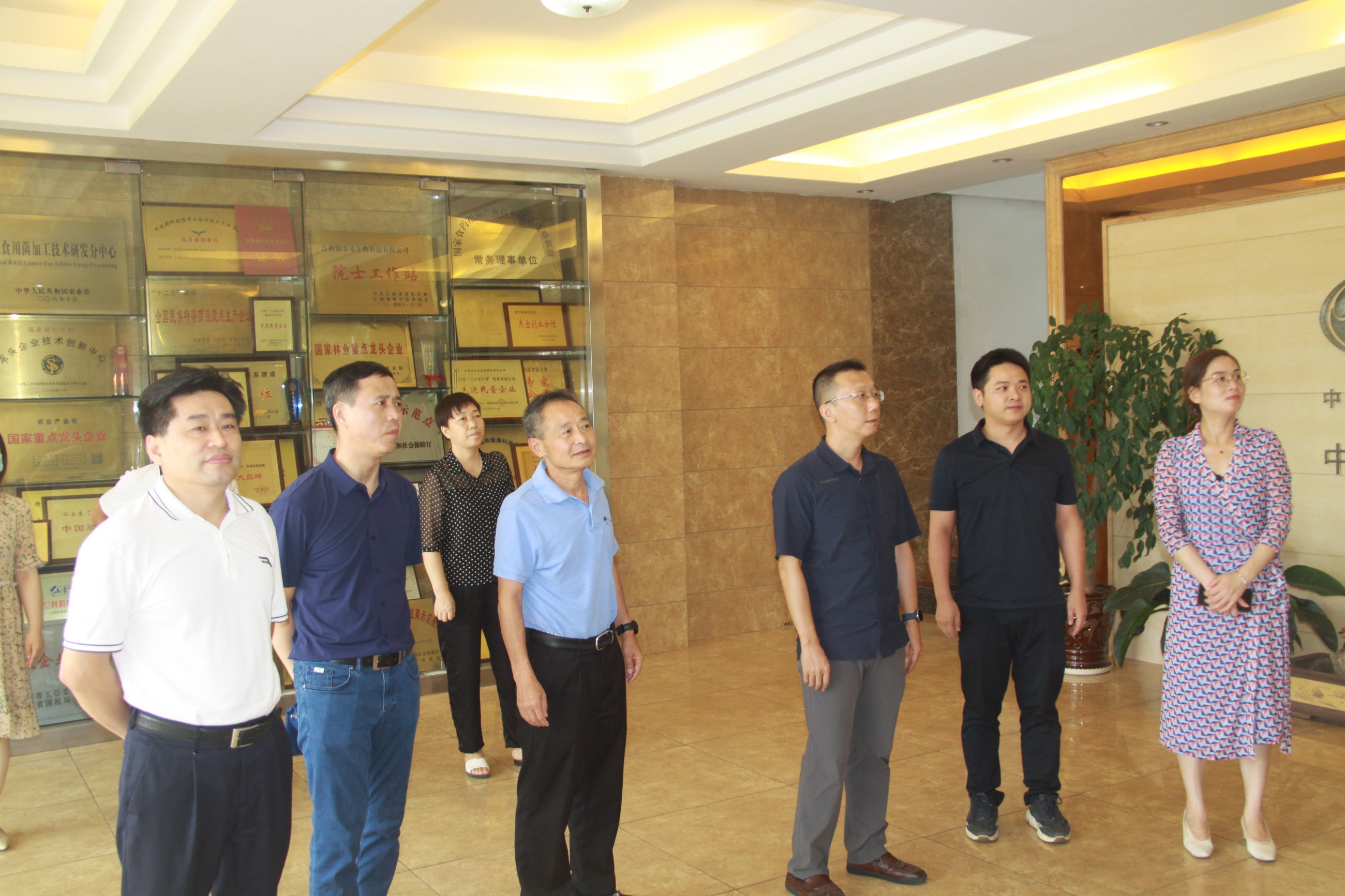 杭州亞運會官方靈芝產品供應商|杭州亞運會官方供應商|中國靈芝十大品牌|仙客來靈芝|仙客來靈芝破壁孢子粉|仙客來孢子油|仙客來靈芝飲片|仙客來破壁孢子粉|靈芝孢子油|孢子粉|靈芝破壁孢子粉|靈芝|中華老字號