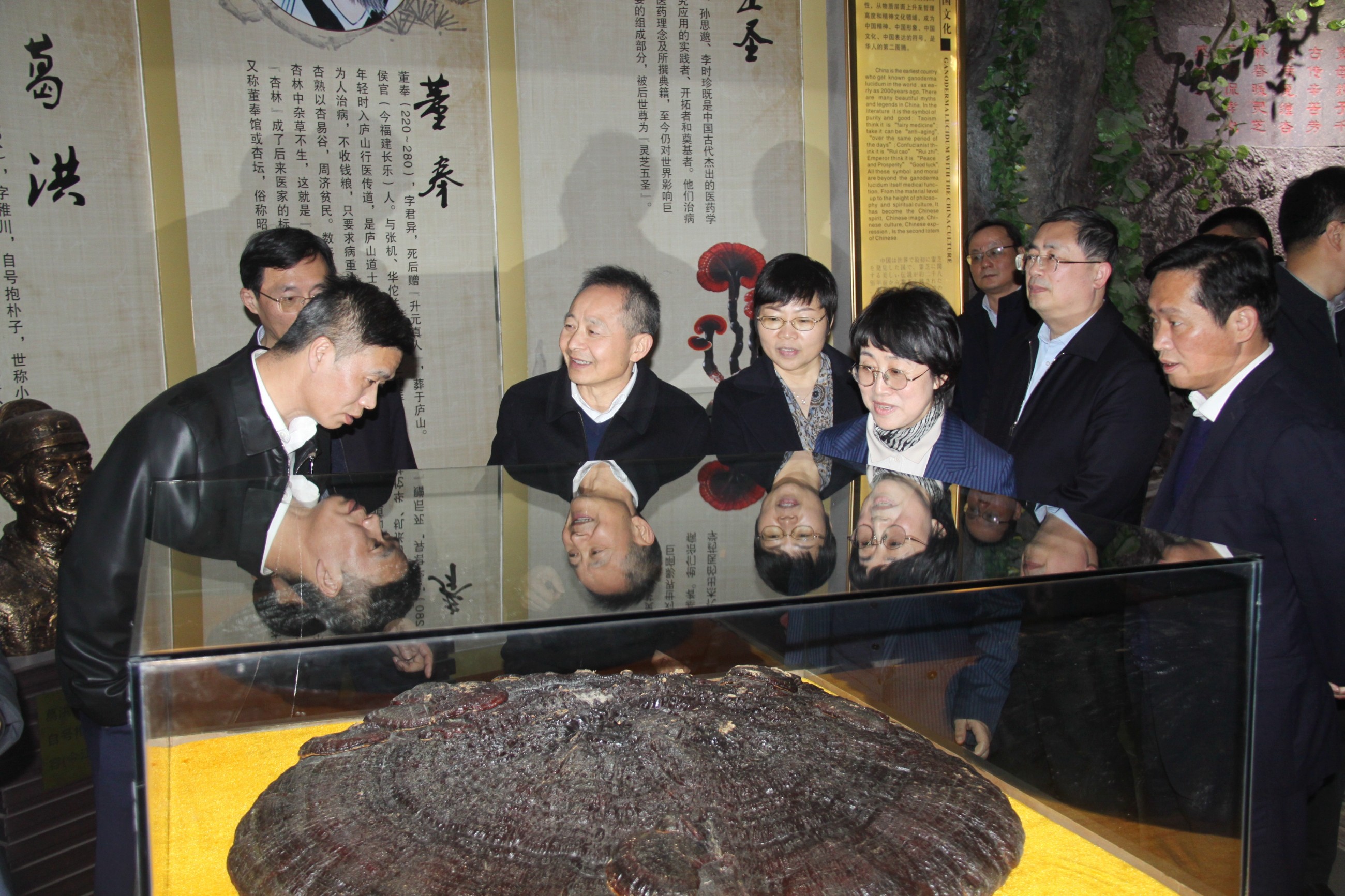 杭州亞運(yùn)會(huì)官方靈芝產(chǎn)品供應(yīng)商|杭州亞運(yùn)會(huì)官方供應(yīng)商|中國靈芝十大品牌|仙客來靈芝|仙客來靈芝破壁孢子粉|仙客來孢子油|仙客來靈芝飲片|仙客來破壁孢子粉|靈芝孢子油|孢子粉|靈芝破壁孢子粉|靈芝|中華老字號(hào)