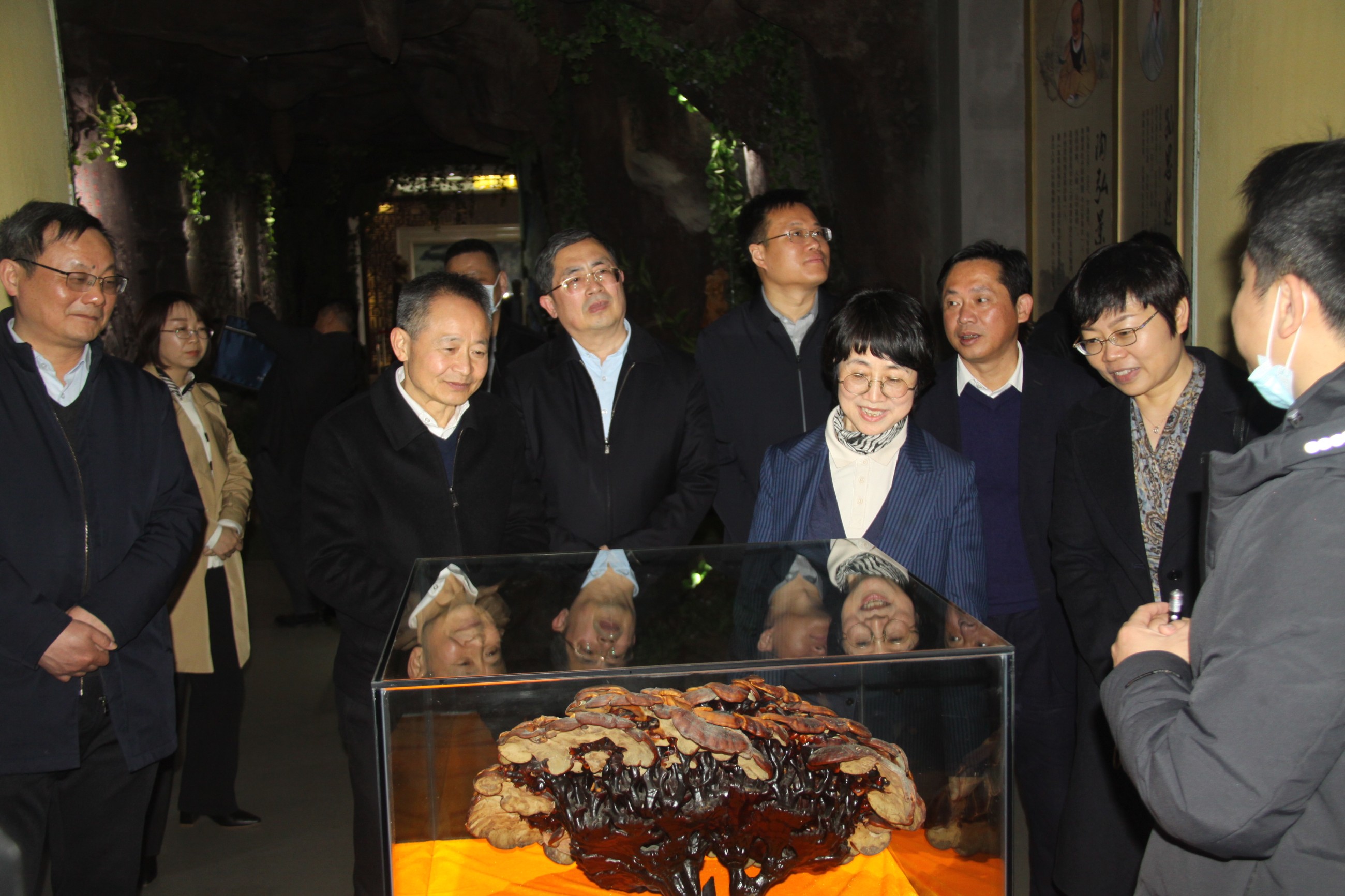 杭州亞運(yùn)會(huì)官方靈芝產(chǎn)品供應(yīng)商|杭州亞運(yùn)會(huì)官方供應(yīng)商|中國靈芝十大品牌|仙客來靈芝|仙客來靈芝破壁孢子粉|仙客來孢子油|仙客來靈芝飲片|仙客來破壁孢子粉|靈芝孢子油|孢子粉|靈芝破壁孢子粉|靈芝|中華老字號(hào)