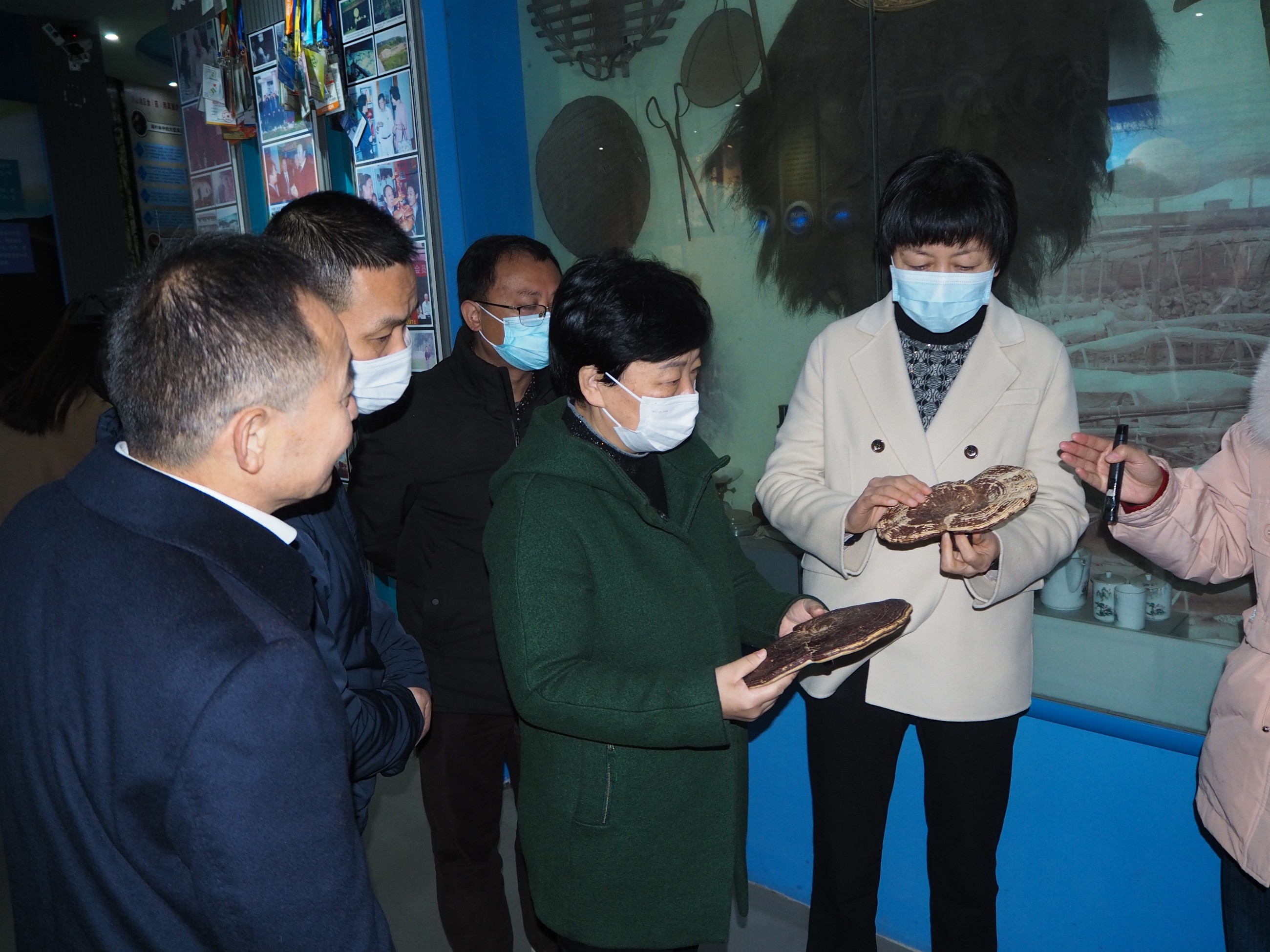 杭州亞運(yùn)會(huì)官方靈芝產(chǎn)品供應(yīng)商|杭州亞運(yùn)會(huì)官方供應(yīng)商|中國靈芝十大品牌|仙客來靈芝|仙客來靈芝破壁孢子粉|仙客來孢子油|仙客來靈芝飲片|仙客來破壁孢子粉|靈芝孢子油|孢子粉|靈芝破壁孢子粉|靈芝|中華老字號