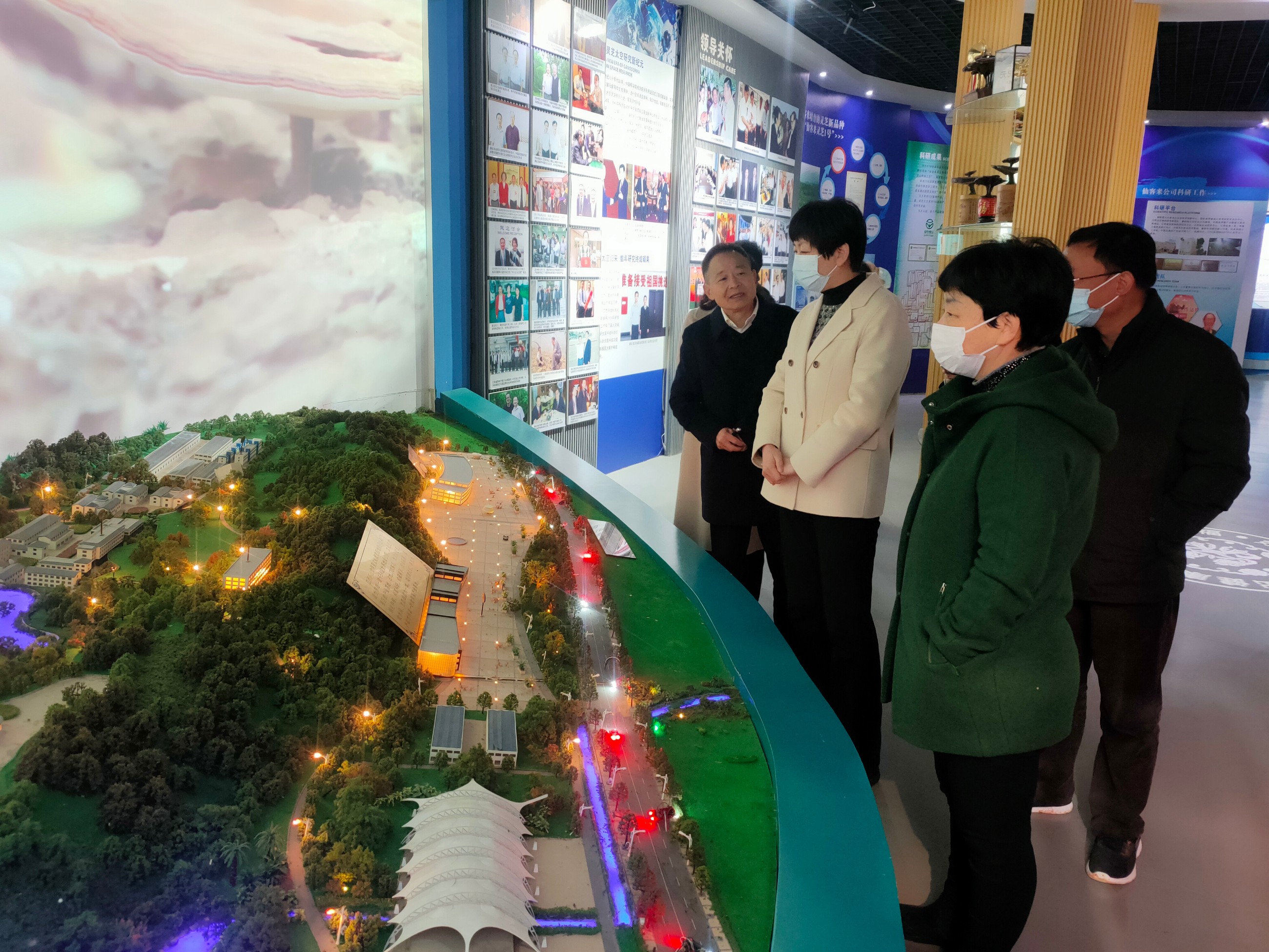 杭州亞運(yùn)會(huì)官方靈芝產(chǎn)品供應(yīng)商|杭州亞運(yùn)會(huì)官方供應(yīng)商|中國靈芝十大品牌|仙客來靈芝|仙客來靈芝破壁孢子粉|仙客來孢子油|仙客來靈芝飲片|仙客來破壁孢子粉|靈芝孢子油|孢子粉|靈芝破壁孢子粉|靈芝|中華老字號