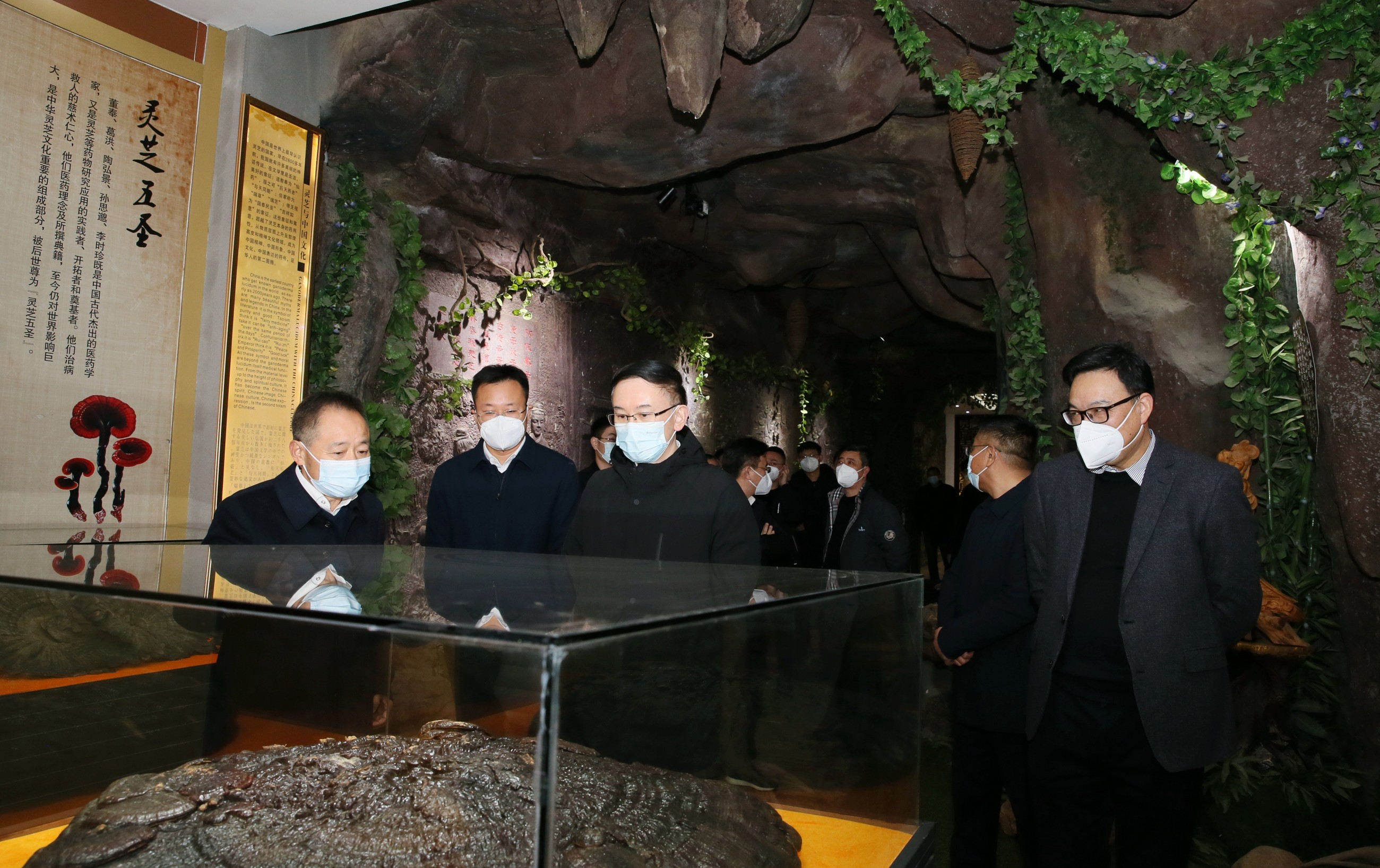 杭州亞運(yùn)會官方靈芝產(chǎn)品供應(yīng)商|杭州亞運(yùn)會官方供應(yīng)商|中國靈芝十大品牌|仙客來靈芝|仙客來靈芝破壁孢子粉|仙客來孢子油|仙客來靈芝飲片|仙客來破壁孢子粉|靈芝孢子油|孢子粉|靈芝破壁孢子粉|靈芝|中華老字號