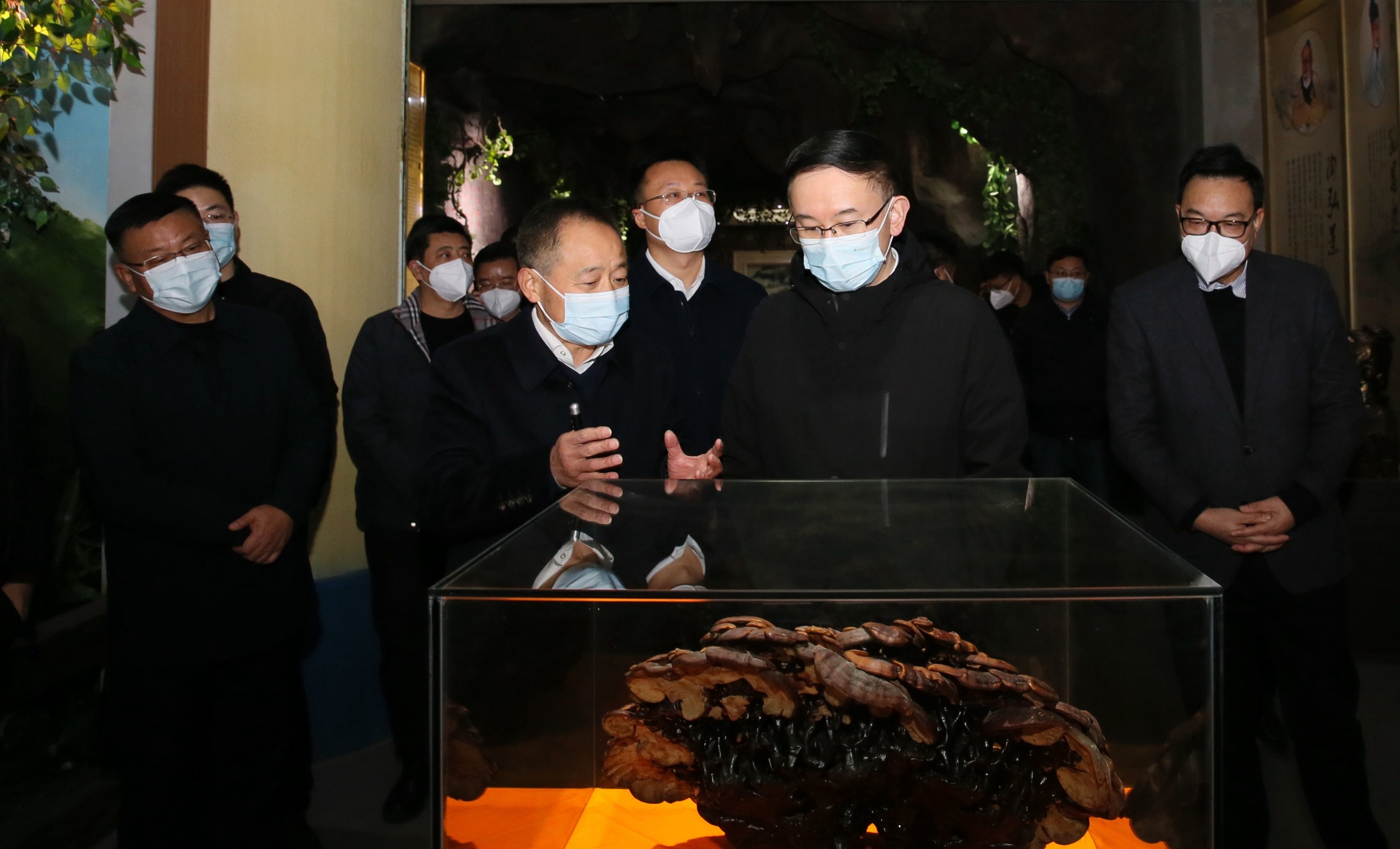 杭州亞運(yùn)會官方靈芝產(chǎn)品供應(yīng)商|杭州亞運(yùn)會官方供應(yīng)商|中國靈芝十大品牌|仙客來靈芝|仙客來靈芝破壁孢子粉|仙客來孢子油|仙客來靈芝飲片|仙客來破壁孢子粉|靈芝孢子油|孢子粉|靈芝破壁孢子粉|靈芝|中華老字號