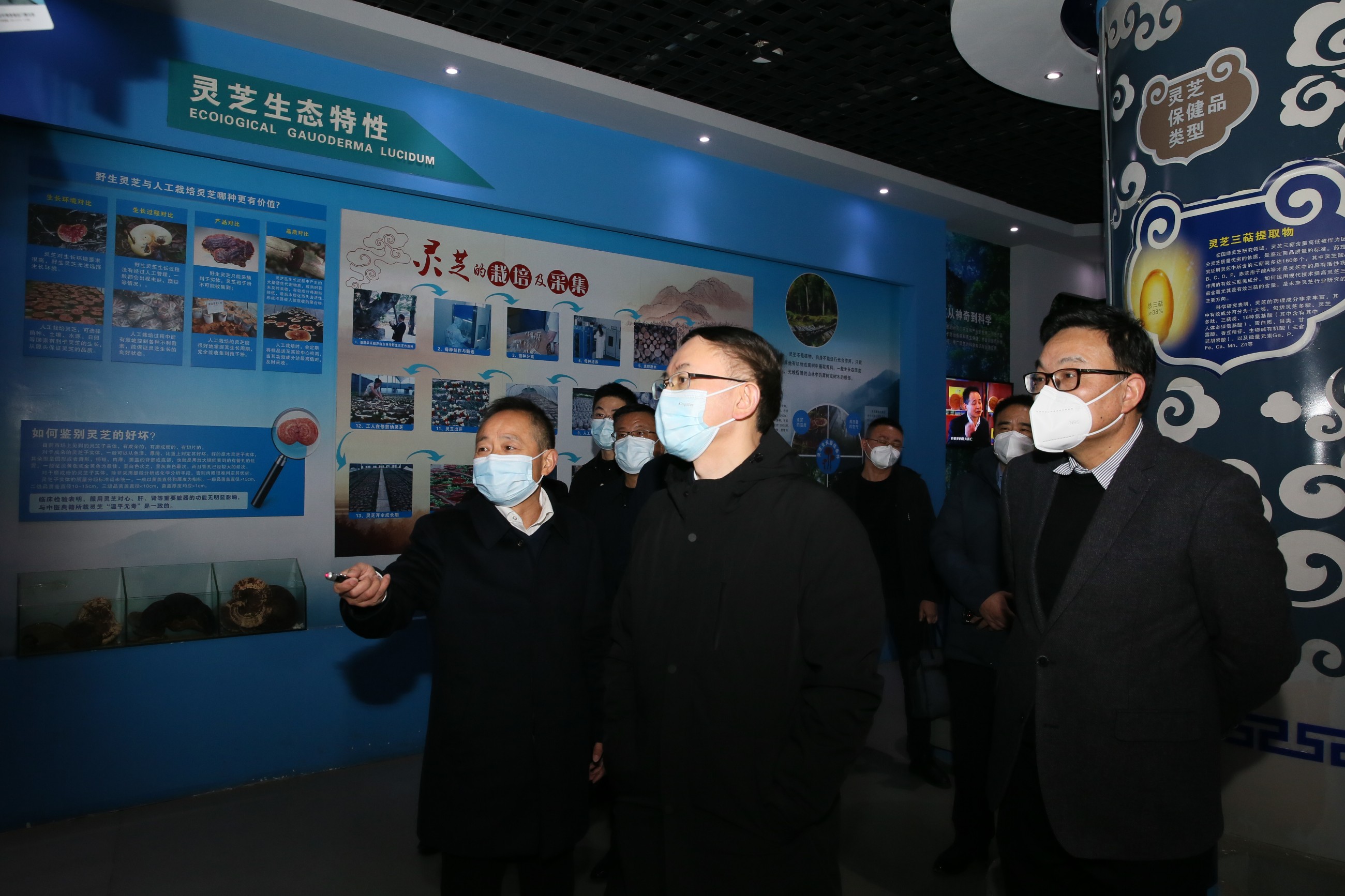 杭州亞運(yùn)會官方靈芝產(chǎn)品供應(yīng)商|杭州亞運(yùn)會官方供應(yīng)商|中國靈芝十大品牌|仙客來靈芝|仙客來靈芝破壁孢子粉|仙客來孢子油|仙客來靈芝飲片|仙客來破壁孢子粉|靈芝孢子油|孢子粉|靈芝破壁孢子粉|靈芝|中華老字號