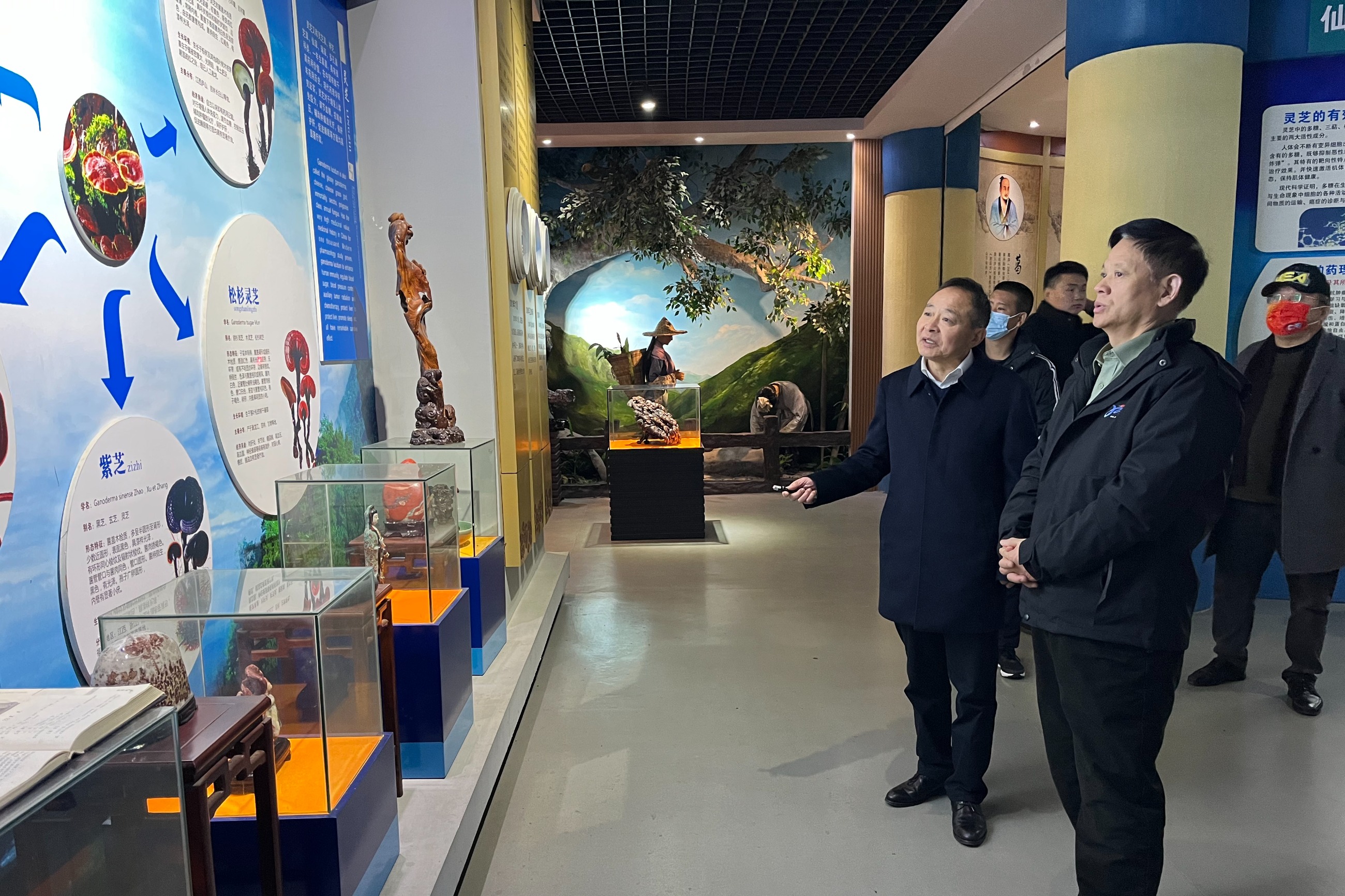 杭州亞運(yùn)會官方靈芝產(chǎn)品供應(yīng)商|杭州亞運(yùn)會官方供應(yīng)商|中國靈芝十大品牌|仙客來靈芝|仙客來靈芝破壁孢子粉|仙客來孢子油|仙客來靈芝飲片|仙客來破壁孢子粉|靈芝孢子油|孢子粉|靈芝破壁孢子粉|靈芝|中華老字號