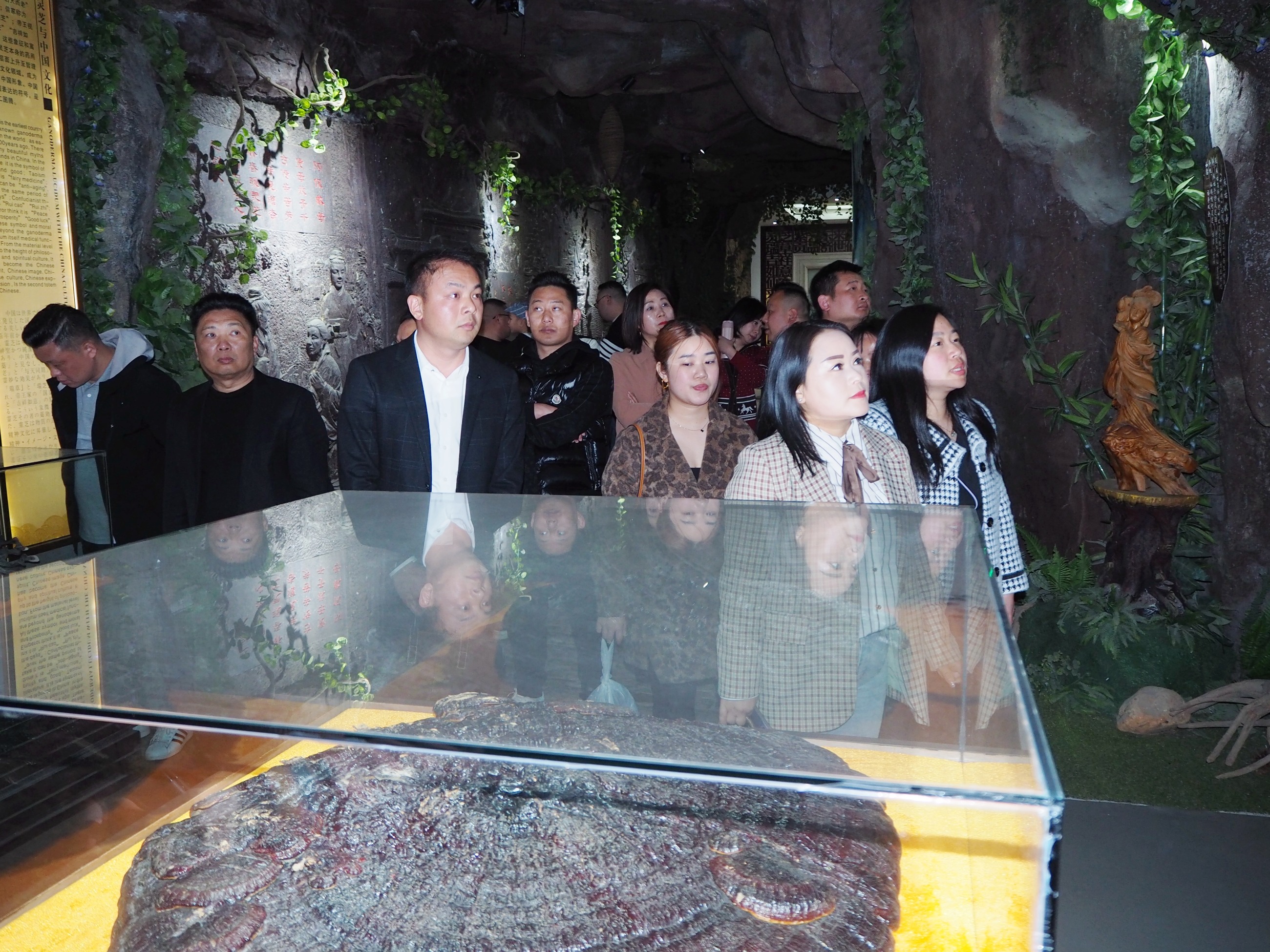 杭州亞運(yùn)會(huì)官方靈芝產(chǎn)品供應(yīng)商|杭州亞運(yùn)會(huì)官方供應(yīng)商|中國(guó)靈芝十大品牌|仙客來(lái)靈芝|仙客來(lái)靈芝破壁孢子粉|仙客來(lái)孢子油|仙客來(lái)靈芝飲片|仙客來(lái)破壁孢子粉|靈芝孢子油|孢子粉|靈芝破壁孢子粉|靈芝|中華老字號(hào)