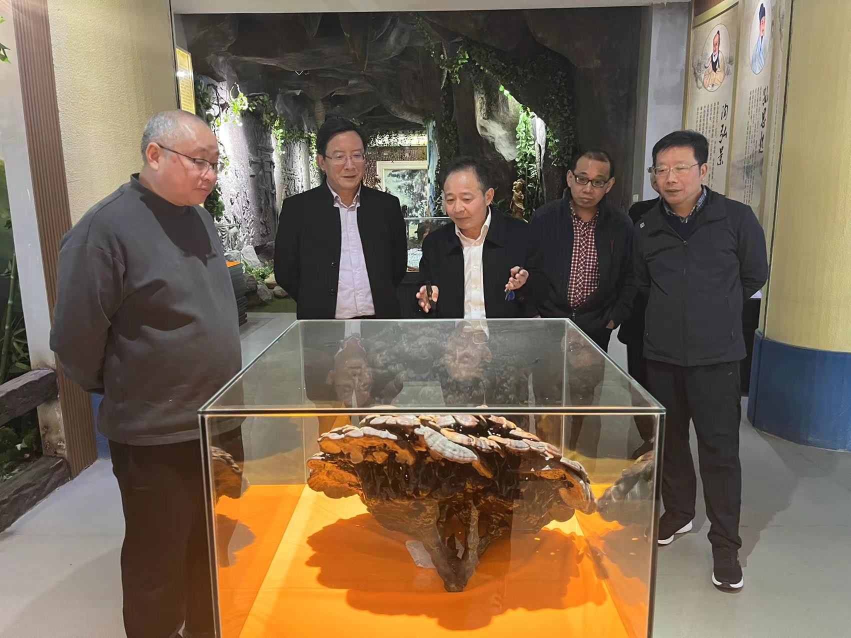 杭州亞運會官方靈芝產(chǎn)品供應(yīng)商|杭州亞運會官方供應(yīng)商|中國靈芝十大品牌|仙客來靈芝|仙客來靈芝破壁孢子粉|仙客來孢子油|仙客來靈芝飲片|仙客來破壁孢子粉|靈芝孢子油|孢子粉|靈芝破壁孢子粉|靈芝|中華老字號