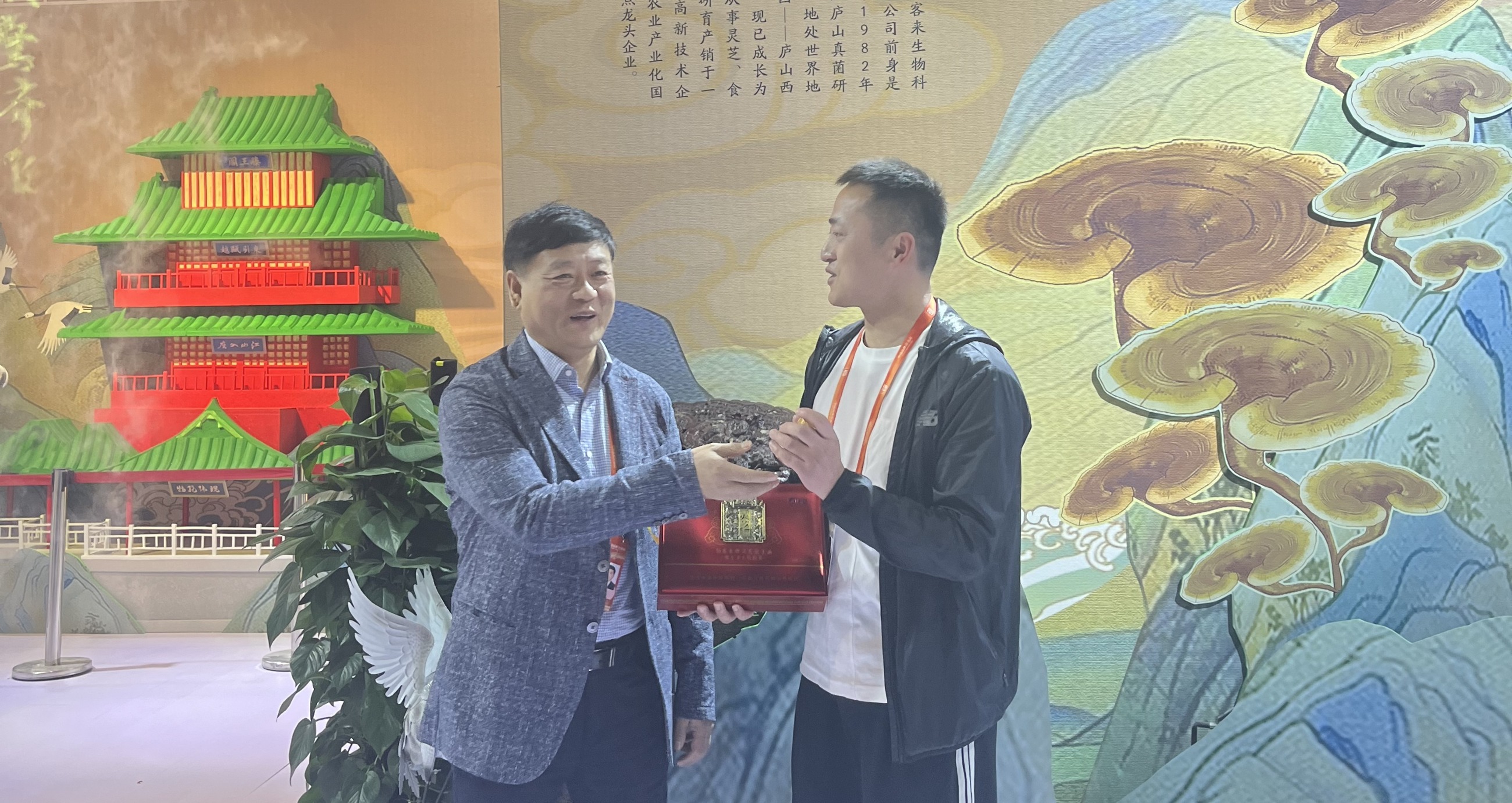 杭州亞運(yùn)會(huì)官方靈芝產(chǎn)品供應(yīng)商|杭州亞運(yùn)會(huì)官方供應(yīng)商|中國(guó)靈芝十大品牌|仙客來靈芝|仙客來靈芝破壁孢子粉|仙客來孢子油|仙客來靈芝飲片|仙客來破壁孢子粉|靈芝孢子油|孢子粉|靈芝破壁孢子粉|靈芝|中華老字號(hào)