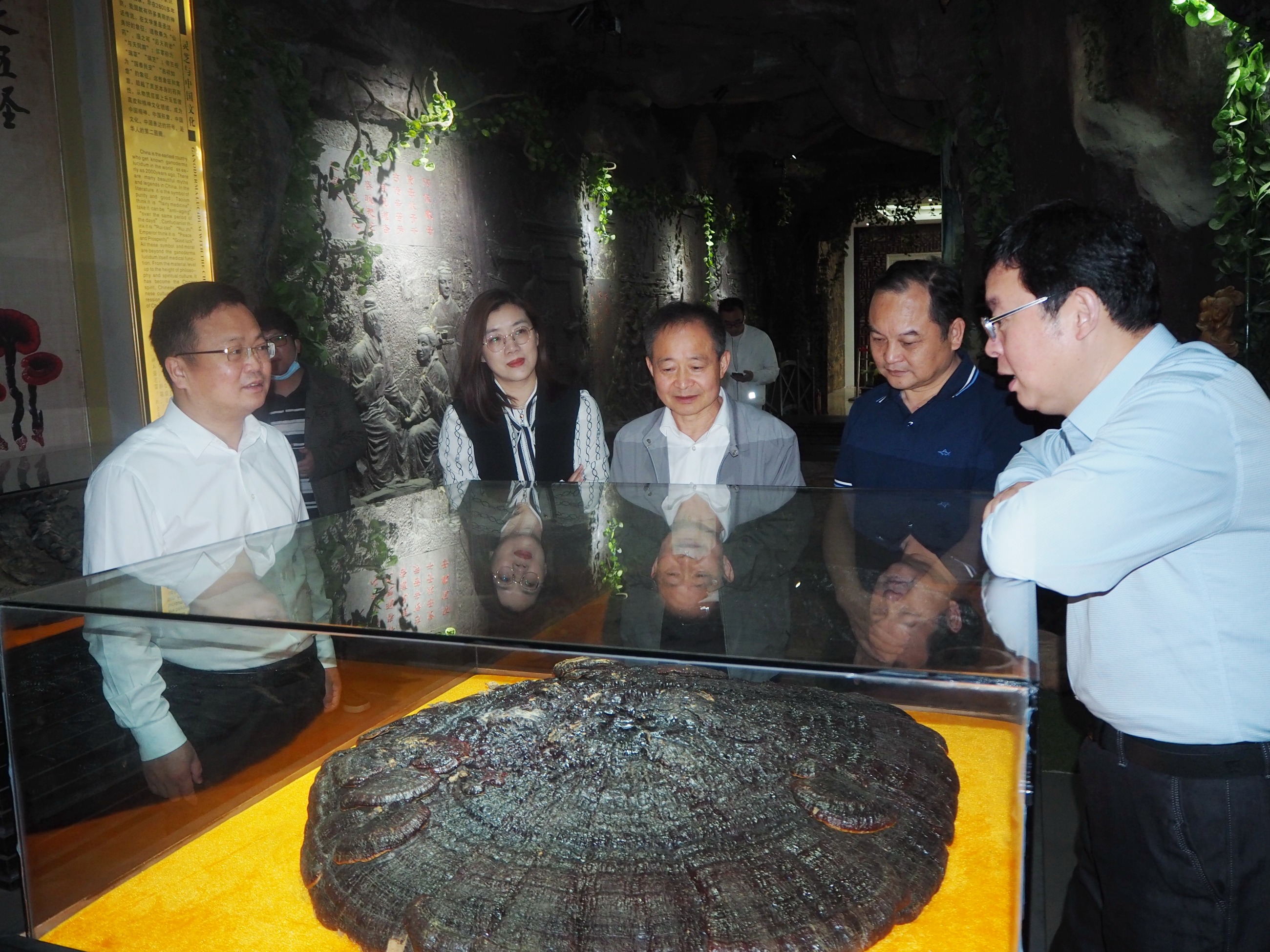 杭州亞運(yùn)會(huì)官方靈芝產(chǎn)品供應(yīng)商|杭州亞運(yùn)會(huì)官方供應(yīng)商|中國(guó)靈芝十大品牌|仙客來(lái)靈芝|仙客來(lái)靈芝破壁孢子粉|仙客來(lái)孢子油|仙客來(lái)靈芝飲片|仙客來(lái)破壁孢子粉|靈芝孢子油|孢子粉|靈芝破壁孢子粉|靈芝|中華老字號(hào)