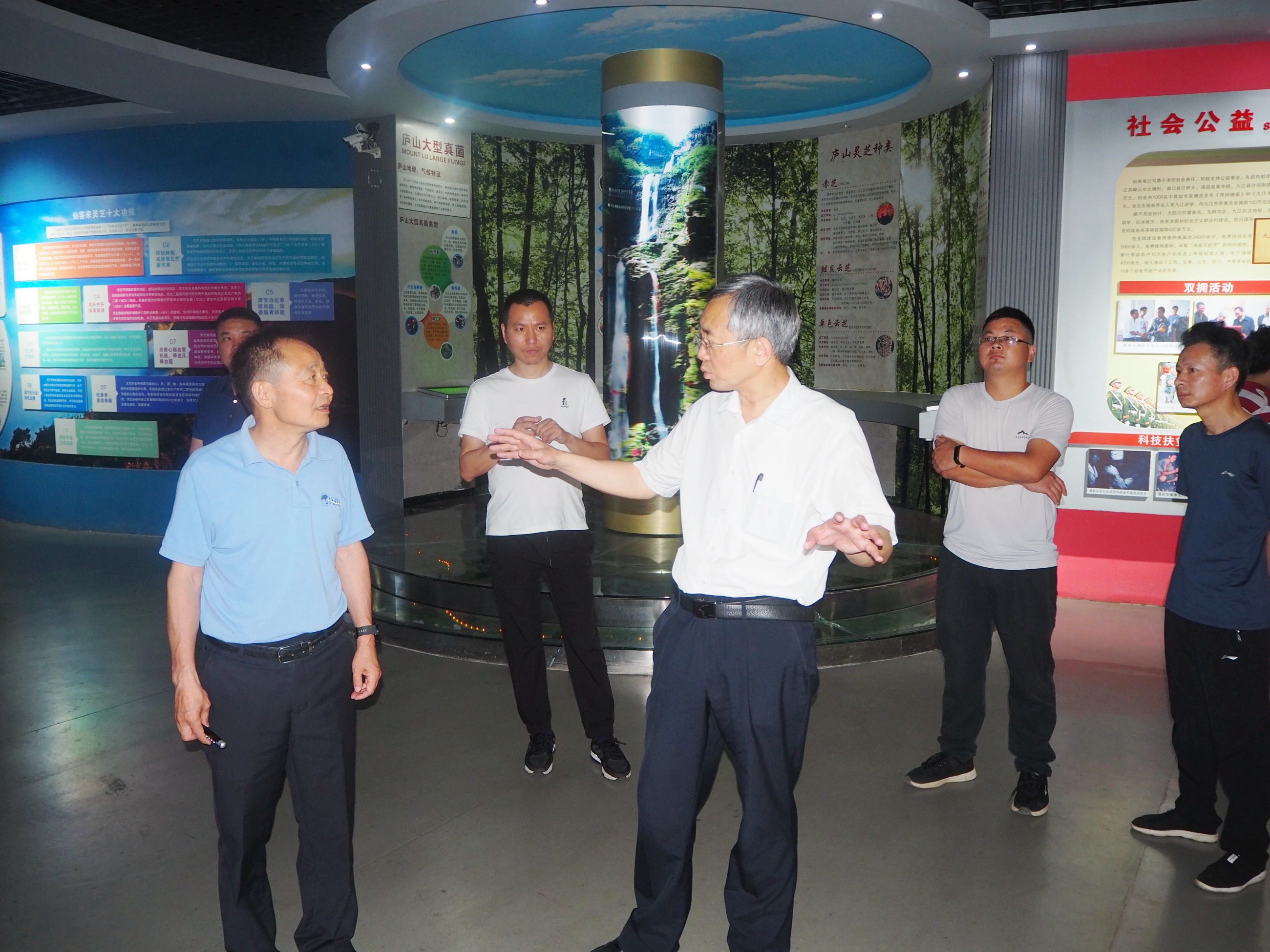 杭州亞運(yùn)會(huì)官方靈芝產(chǎn)品供應(yīng)商|杭州亞運(yùn)會(huì)官方供應(yīng)商|中國(guó)靈芝十大品牌|仙客來(lái)靈芝|仙客來(lái)靈芝破壁孢子粉|仙客來(lái)孢子油|仙客來(lái)靈芝飲片|仙客來(lái)破壁孢子粉|靈芝孢子油|孢子粉|靈芝破壁孢子粉|靈芝|中華老字號(hào)