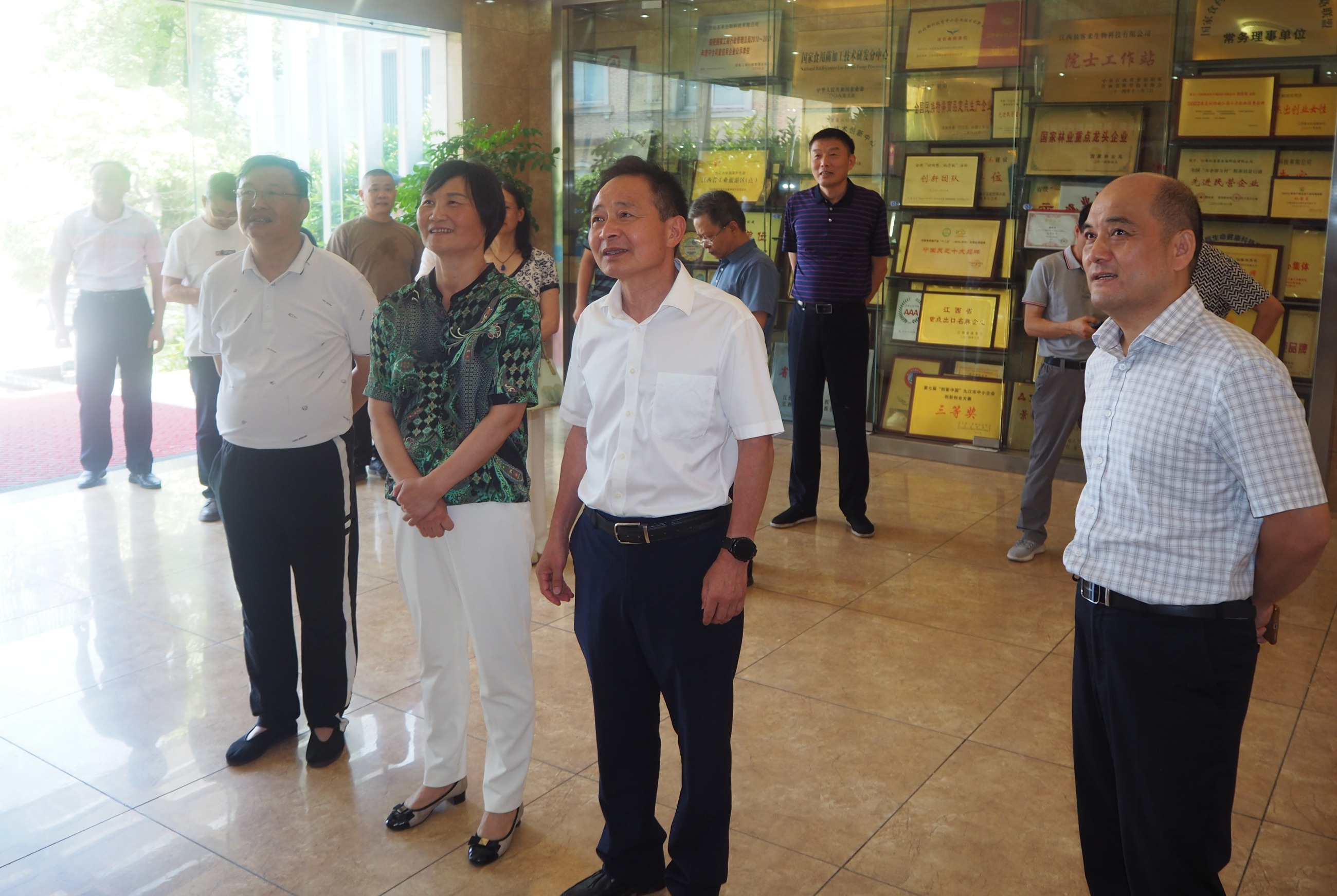 杭州亞運會官方靈芝產(chǎn)品供應商|杭州亞運會官方供應商|中國靈芝十大品牌|仙客來靈芝|仙客來靈芝破壁孢子粉|仙客來孢子油|仙客來靈芝飲片|仙客來破壁孢子粉|靈芝孢子油|孢子粉|靈芝破壁孢子粉|靈芝|中華老字號 杭州亞運會官方靈芝產(chǎn)品供應商|杭州亞運會官方供應商|中國靈芝十大品牌|仙客來靈芝|仙客來靈芝破壁孢子粉|仙客來孢子油|仙客來靈芝飲片|仙客來破壁孢子粉|靈芝孢子油|孢子粉|靈芝破壁孢子粉|靈芝|中華老字號