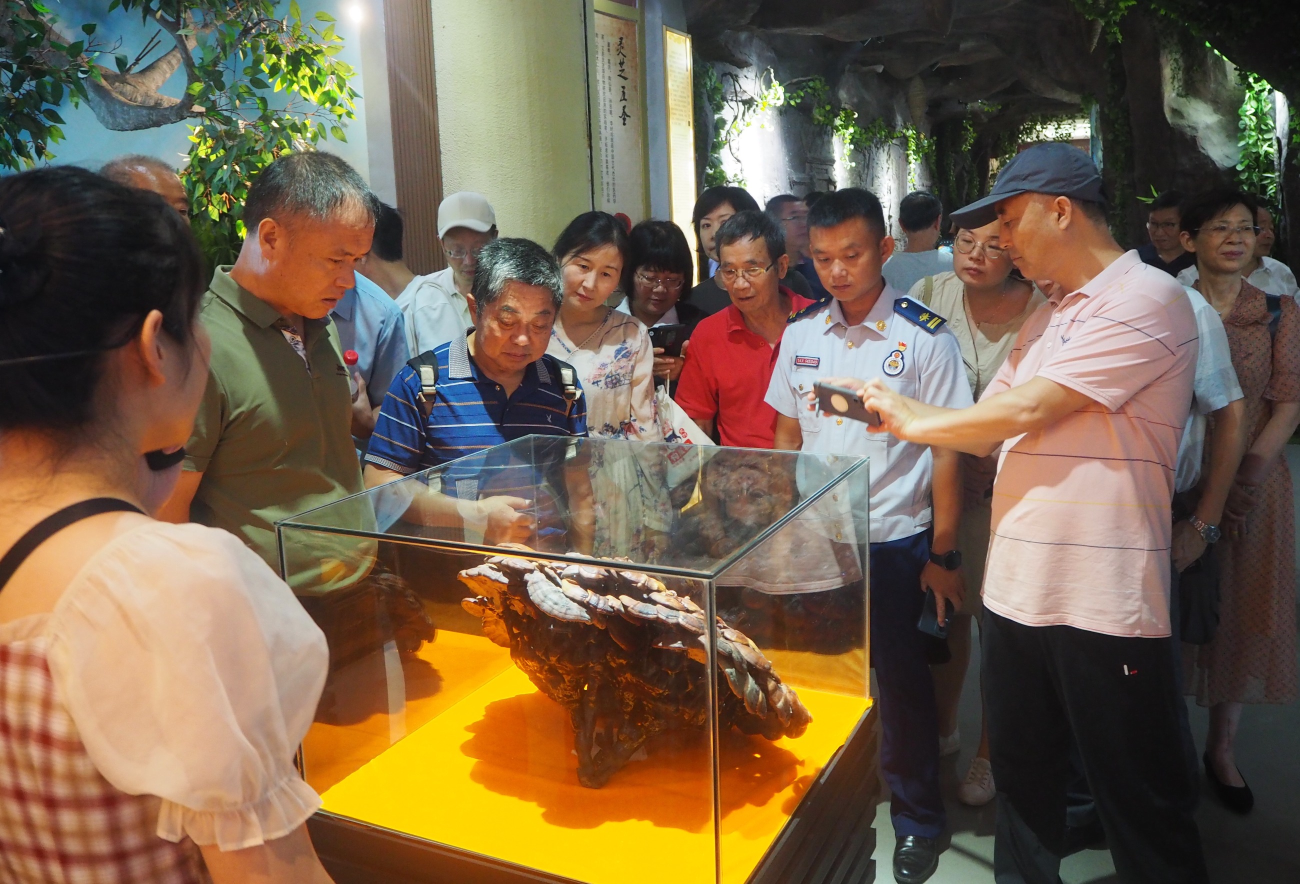 杭州亞運(yùn)會(huì)官方靈芝產(chǎn)品供應(yīng)商|杭州亞運(yùn)會(huì)官方供應(yīng)商|中國(guó)靈芝十大品牌|仙客來(lái)靈芝|仙客來(lái)靈芝破壁孢子粉|仙客來(lái)孢子油|仙客來(lái)靈芝飲片|仙客來(lái)破壁孢子粉|靈芝孢子油|孢子粉|靈芝破壁孢子粉|靈芝|中華老字號(hào)