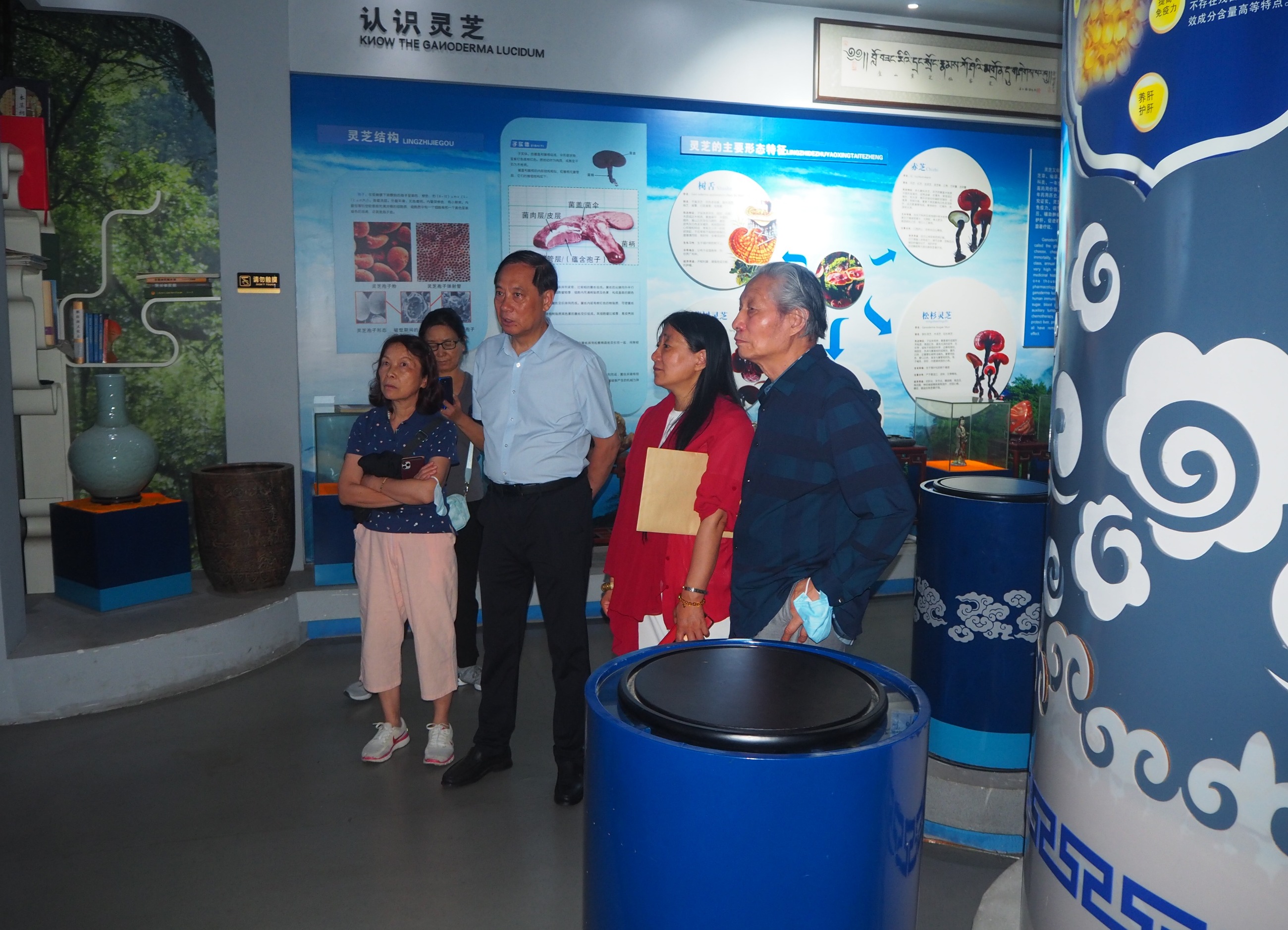 杭州亞運(yùn)會(huì)官方靈芝產(chǎn)品供應(yīng)商|杭州亞運(yùn)會(huì)官方供應(yīng)商|中國靈芝十大品牌|仙客來靈芝|仙客來靈芝破壁孢子粉|仙客來孢子油|仙客來靈芝飲片|仙客來破壁孢子粉|靈芝孢子油|孢子粉|靈芝破壁孢子粉|靈芝|中華老字號