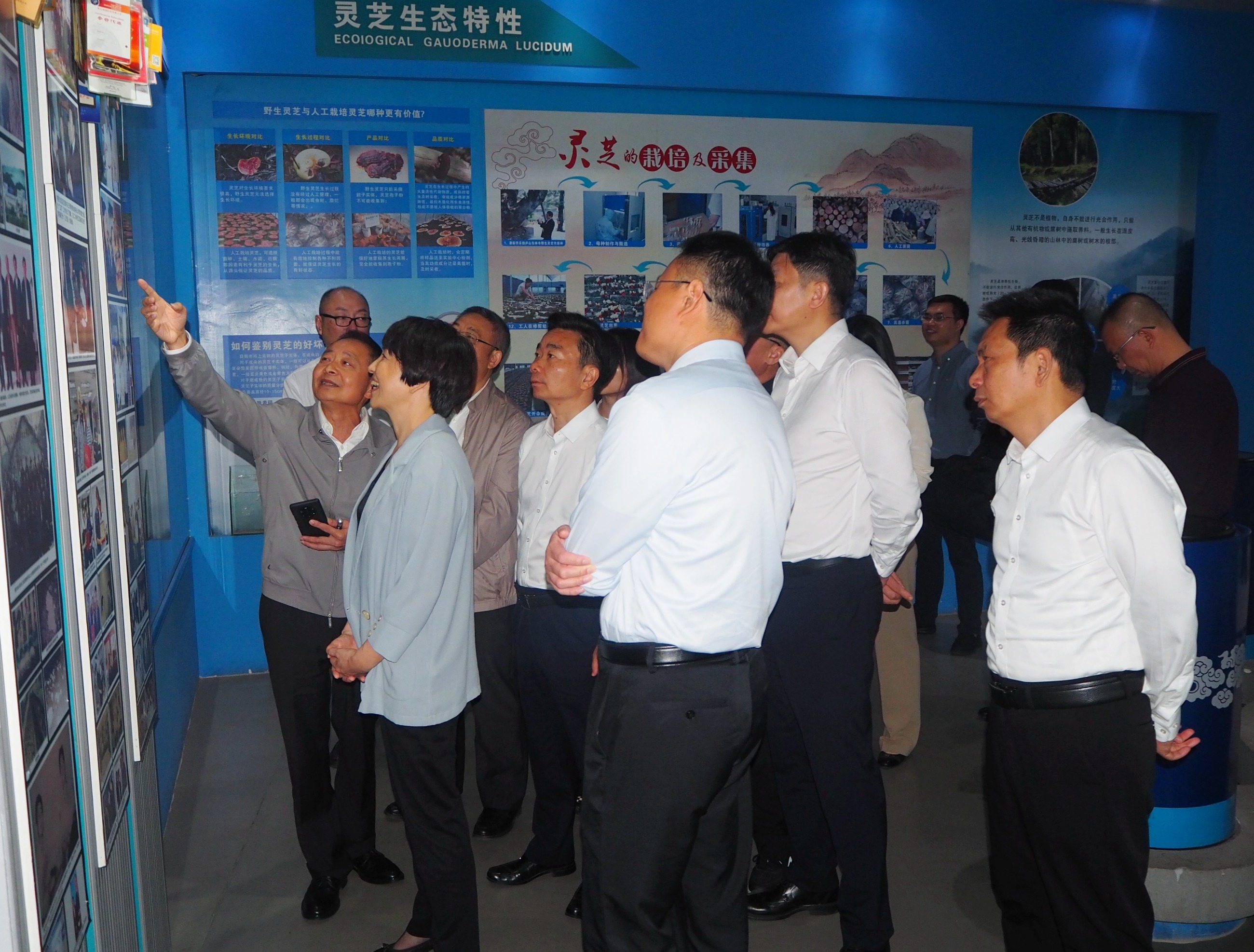 杭州亞運會官方靈芝產(chǎn)品供應(yīng)商|杭州亞運會官方供應(yīng)商|中國靈芝十大品牌|仙客來靈芝|仙客來靈芝破壁孢子粉|仙客來孢子油|仙客來靈芝飲片|仙客來破壁孢子粉|靈芝孢子油|孢子粉|靈芝破壁孢子粉|靈芝|中華老字號 杭州亞運會官方靈芝產(chǎn)品供應(yīng)商|杭州亞運會官方供應(yīng)商|中國靈芝十大品牌|仙客來靈芝|仙客來靈芝破壁孢子粉|仙客來孢子油|仙客來靈芝飲片|仙客來破壁孢子粉|靈芝孢子油|孢子粉|靈芝破壁孢子粉|靈芝|中華老字號