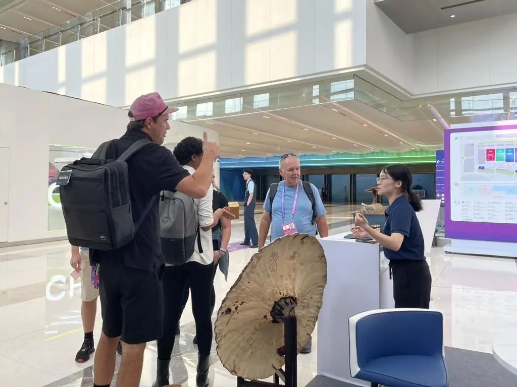 杭州亞運(yùn)會(huì)官方靈芝產(chǎn)品供應(yīng)商|杭州亞運(yùn)會(huì)官方供應(yīng)商|中國(guó)靈芝十大品牌|仙客來(lái)靈芝|仙客來(lái)靈芝破壁孢子粉|仙客來(lái)孢子油|仙客來(lái)靈芝飲片|仙客來(lái)破壁孢子粉|靈芝孢子油|孢子粉|靈芝破壁孢子粉|靈芝|中華老字號(hào) 杭州亞運(yùn)會(huì)官方靈芝產(chǎn)品供應(yīng)商|杭州亞運(yùn)會(huì)官方供應(yīng)商|中國(guó)靈芝十大品牌|仙客來(lái)靈芝|仙客來(lái)靈芝破壁孢子粉|仙客來(lái)孢子油|仙客來(lái)靈芝飲片|仙客來(lái)破壁孢子粉|靈芝孢子油|孢子粉|靈芝破壁孢子粉|靈芝|中華老字號(hào)